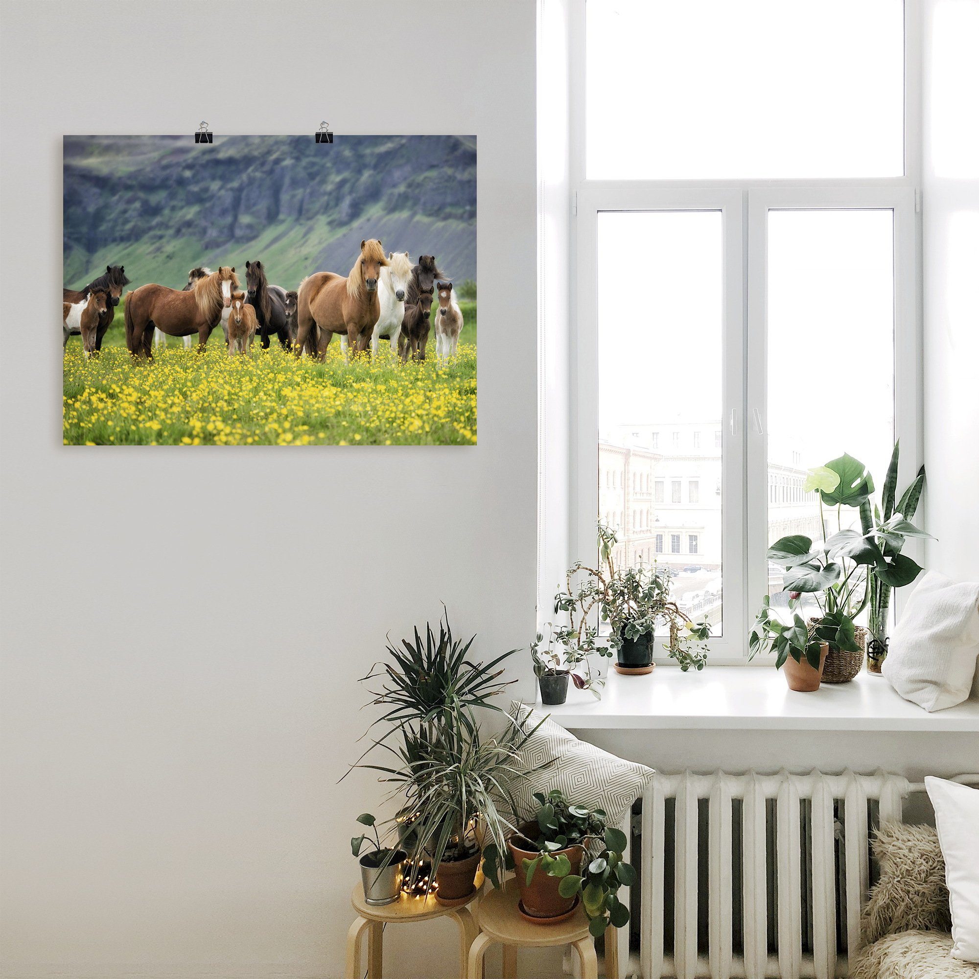 Artland Artprint IJslandse paarden VII als artprint op linnen, poster, muursticker in verschillende maten