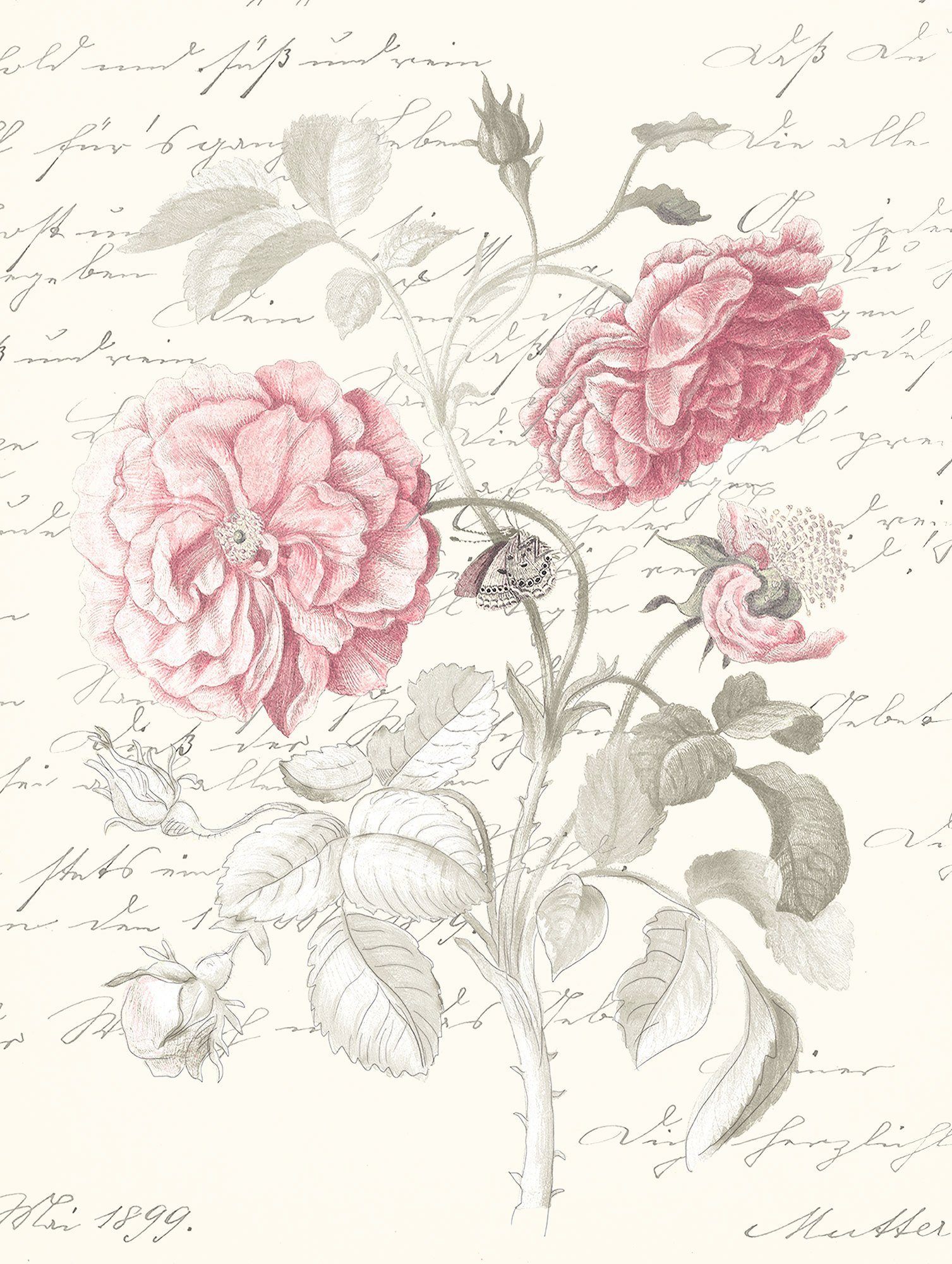 Komar Poster Poème Rose