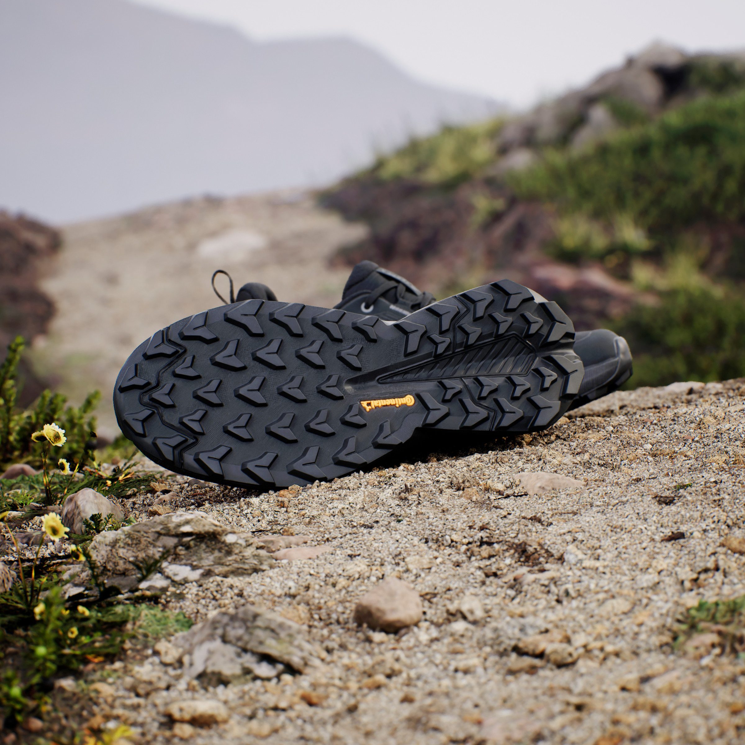 adidas TERREX Wandelschoenen TERREX TRAILMAKER 2.0 GORE-TEX