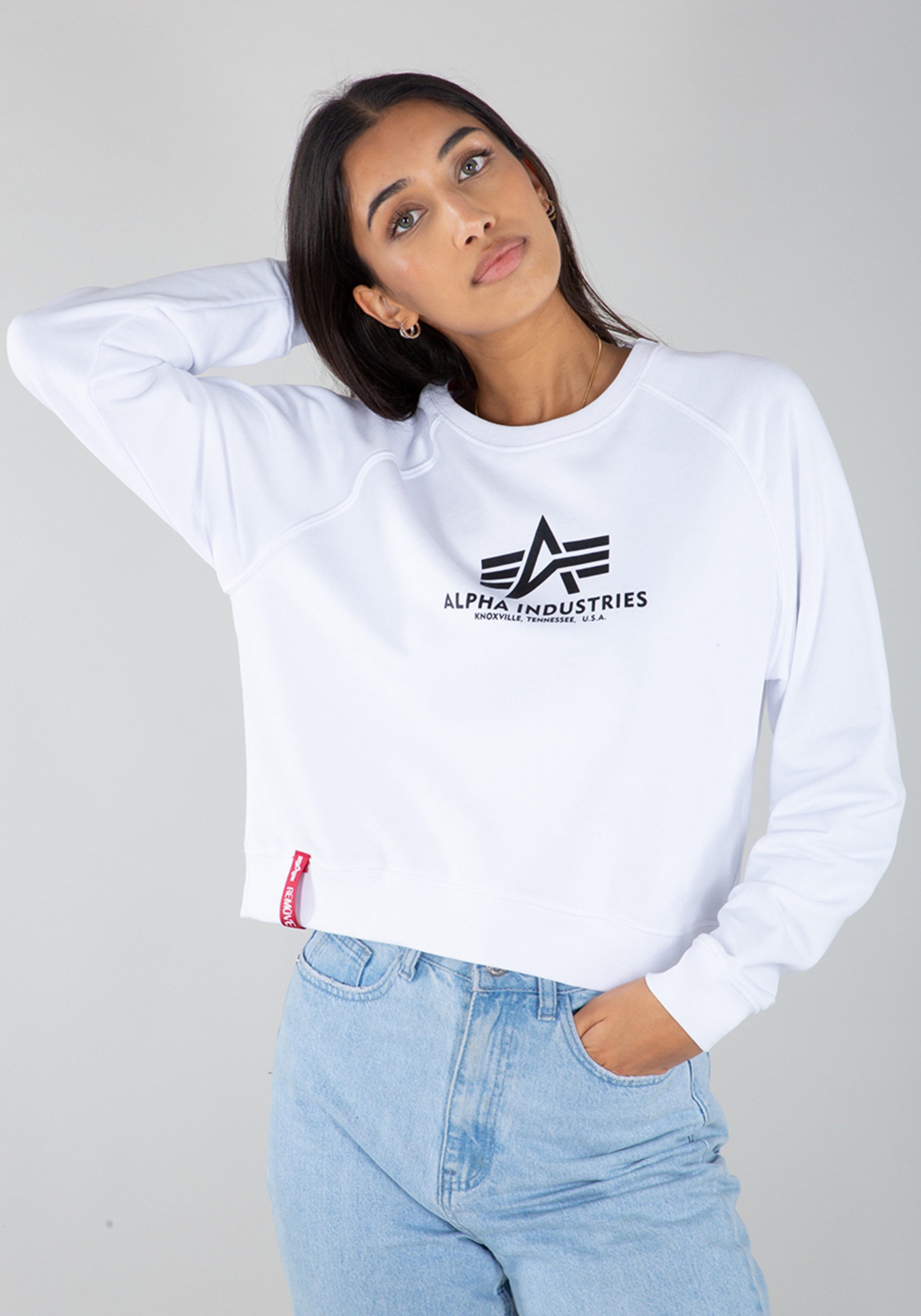 Alpha Industries Sweater Basic Boxy Sweater Women