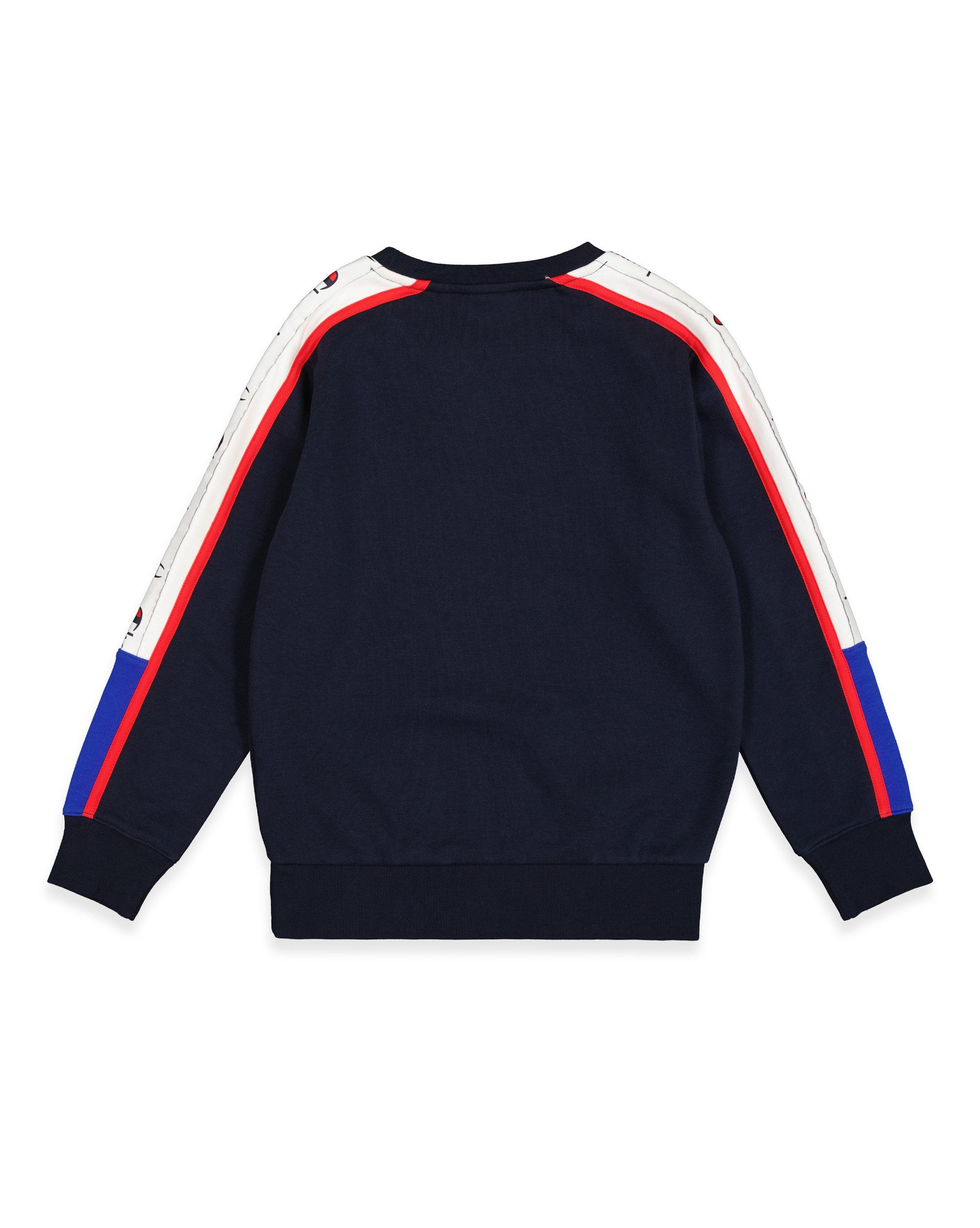 Champion Sweatshirt Crewneck sweatshirt