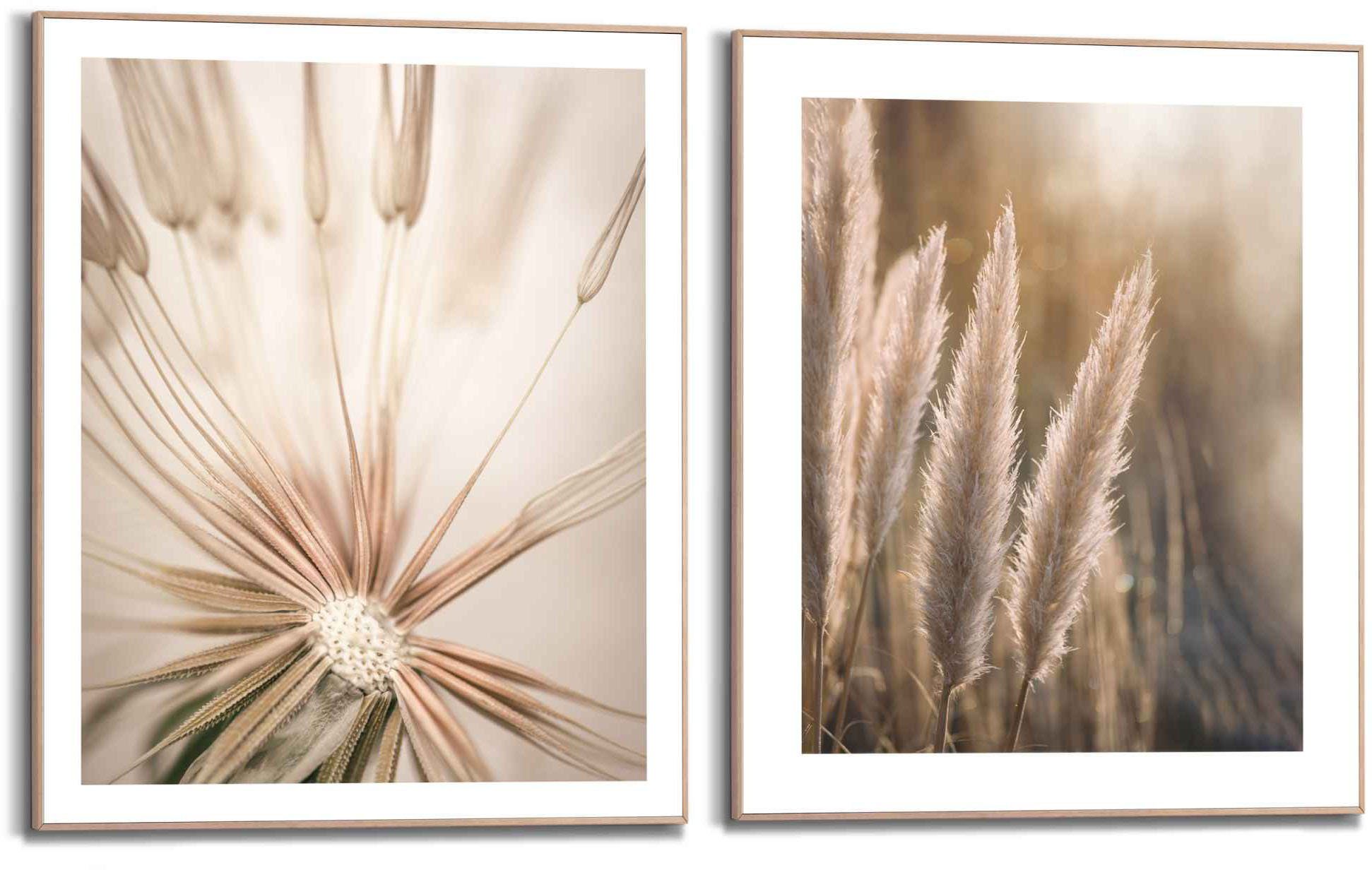Reinders! Artprint Natuur botanisch - pampa - paardenbloem - close-up (2-delig)