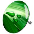 sanilo badkuipstop green leaf ø 7,2 cm groen