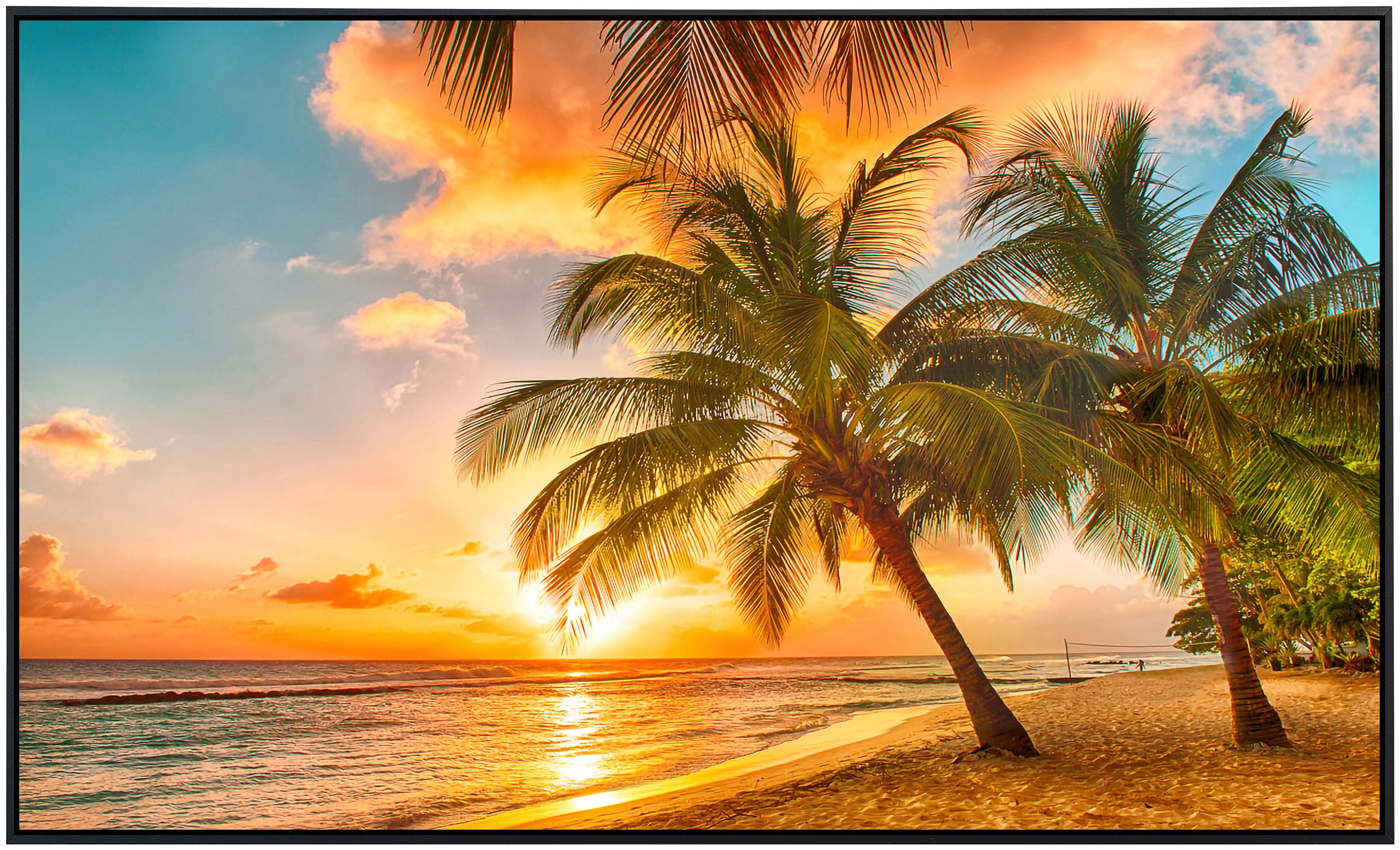 Papermoon Infraroodverwarming Barbados Palm Beach zeer aangename stralingswarmte