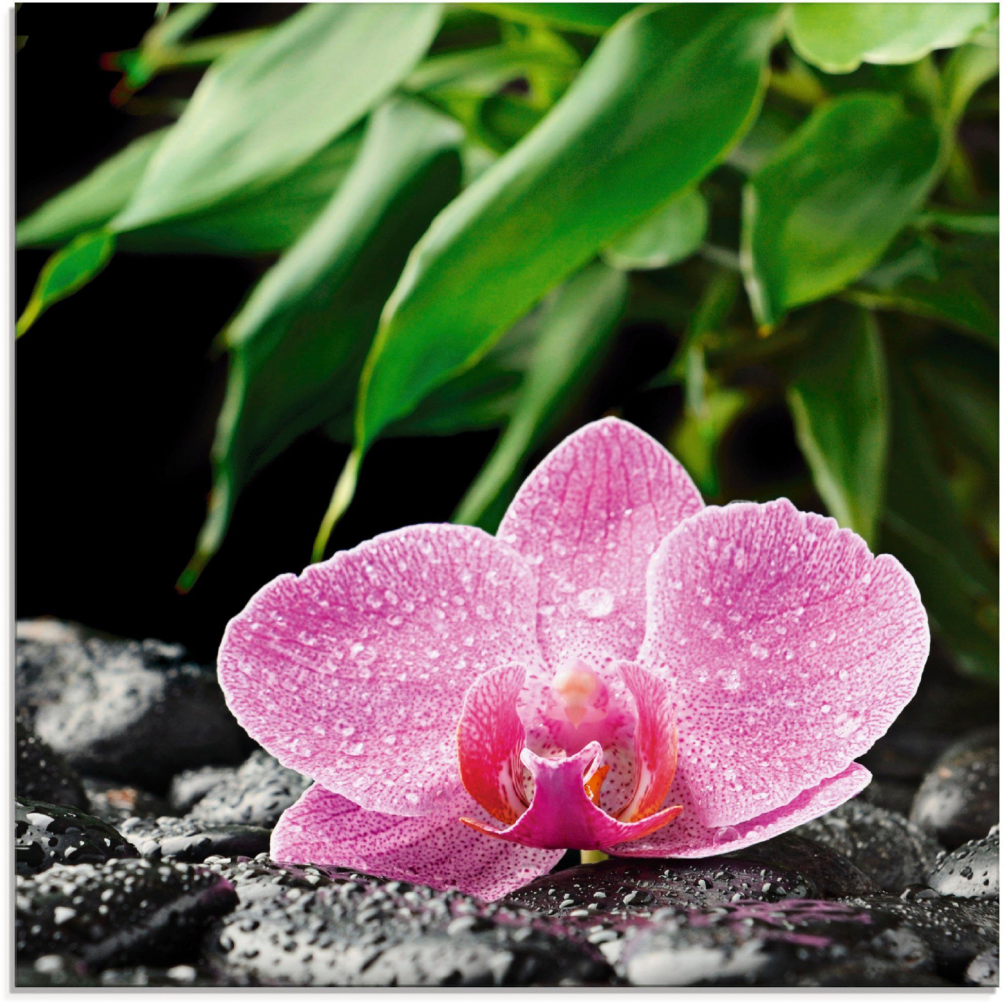 Artland Print op glas Roze orchidee op zwarte zen stenen (1 stuk)