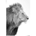 reinders! poster leeuw koning - jungle - zijportret - krachtig (1 stuk) zwart