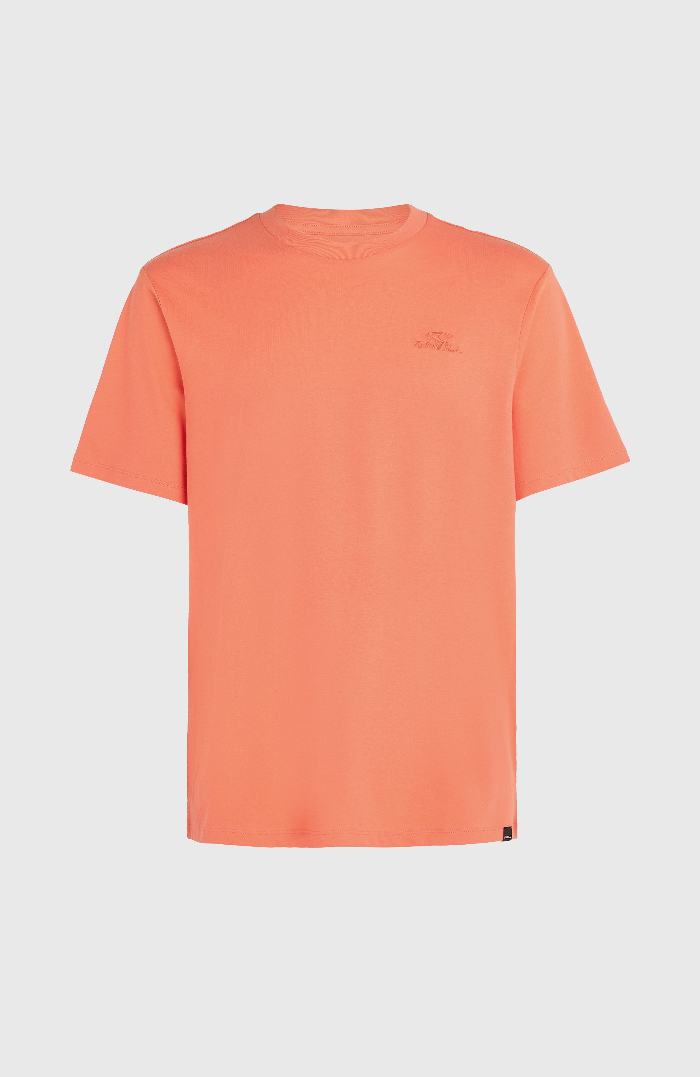 O'Neill T-shirt O'NEILL SMALL LOGO T-SHIRT