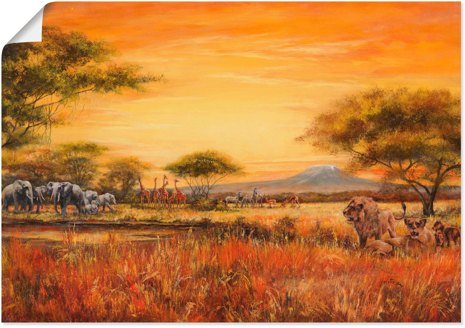 Artland Artprint Afrikaanse steppe met leeuwen als artprint van aluminium, artprint voor buiten, artprint op linnen, poster, muursticker foto