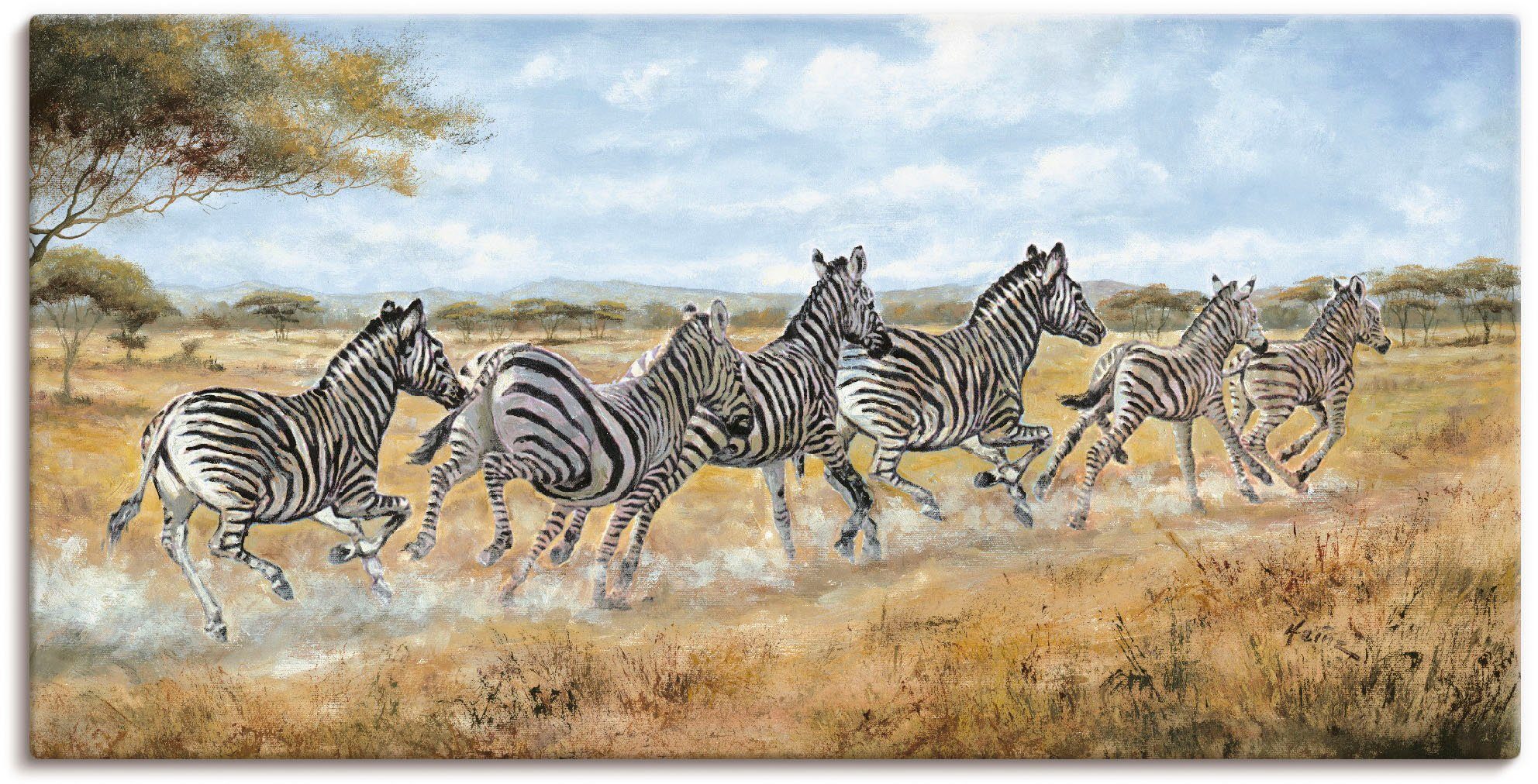 Artland Artprint Lopende zebra’s in vele afmetingen & productsoorten - artprint van aluminium / artprint voor buiten, artprint op linnen, poster, muursticker / wandfolie ook geschi