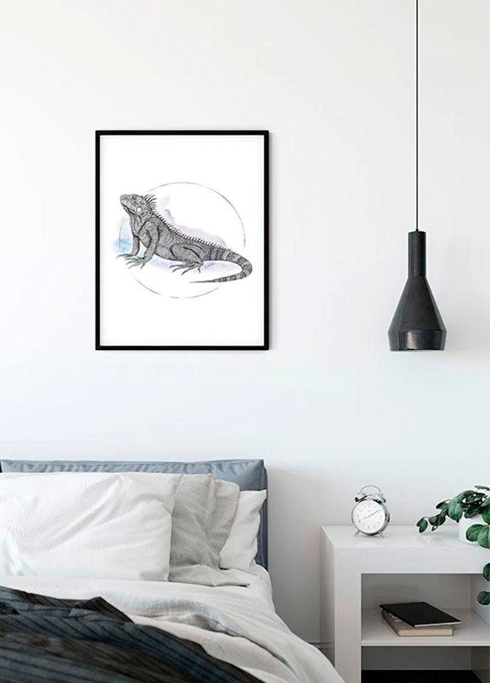 Komar Wanddecoratie Iguana Watercolor Wanddecoratie - zonder lijst