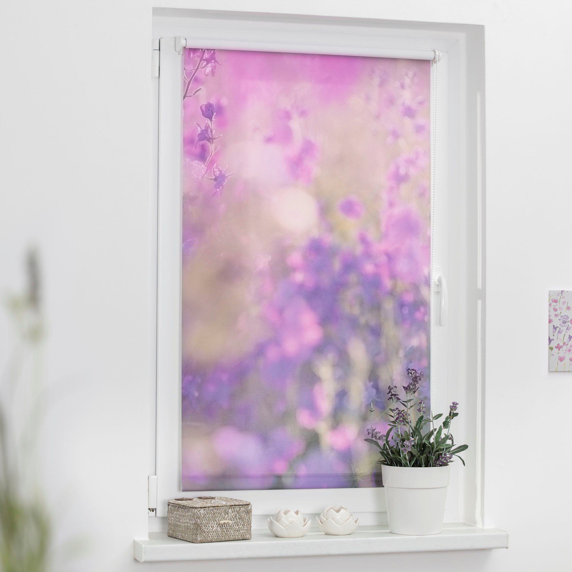 LICHTBLICK Rolgordijn met zijbediening Klemmfix motief Bloemenweide (1 stuk)