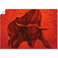 artland artprint catalaanse stier in vele afmetingen  productsoorten - artprint van aluminium - artprint voor buiten, artprint op linnen, poster, muursticker - wandfolie ook geschikt voor de badkamer (1 stuk) rood
