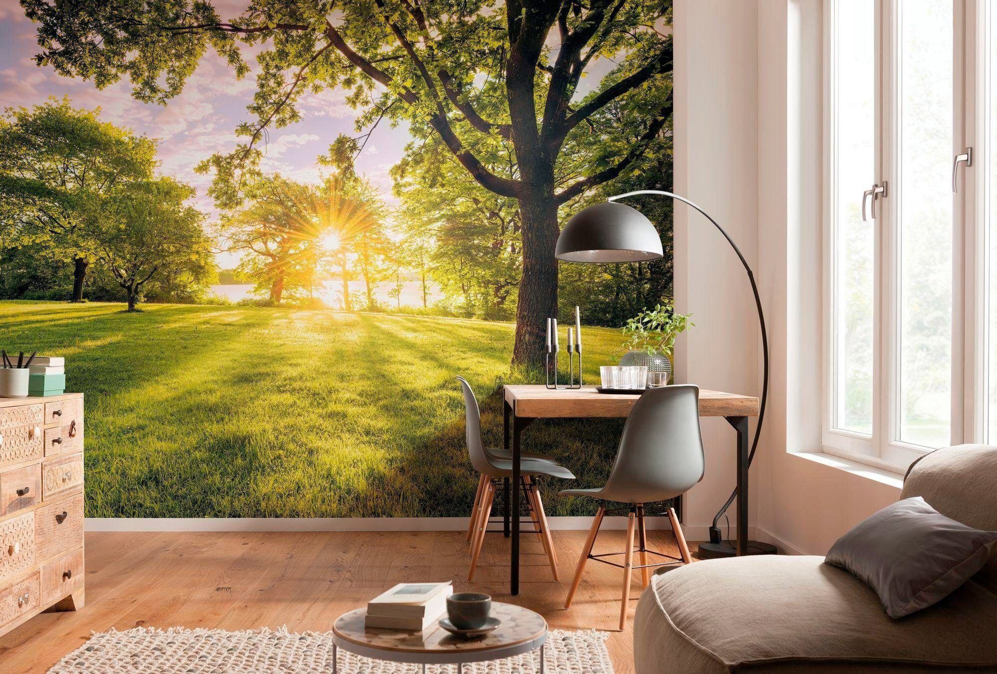 Komar Vliesbehang Digitale print vlies - Golden Moment - Afmeting 400 x 250 cm (1 stuk)