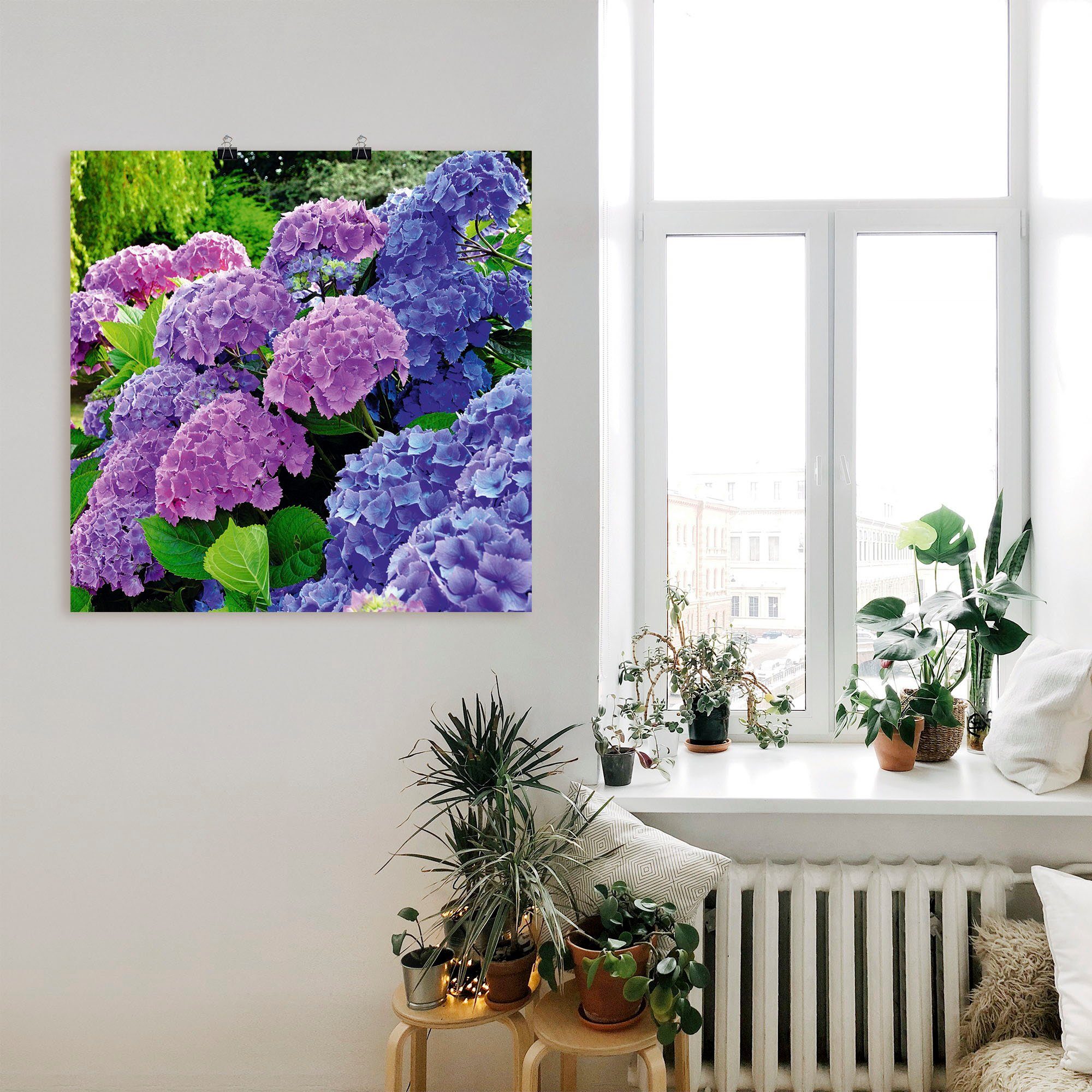 Artland Artprint Hortensia's in de tuin als artprint van aluminium, artprint voor buiten, artprint op linnen, poster, muursticker