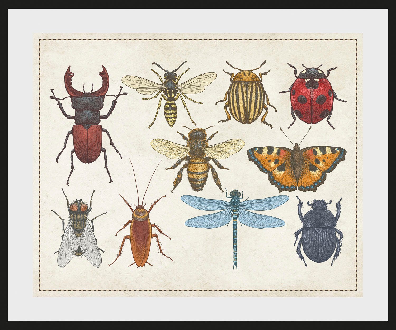 queence Wanddecoratie A Bug's Life HD premium posterdruk incl. houten lijst (1 stuk)