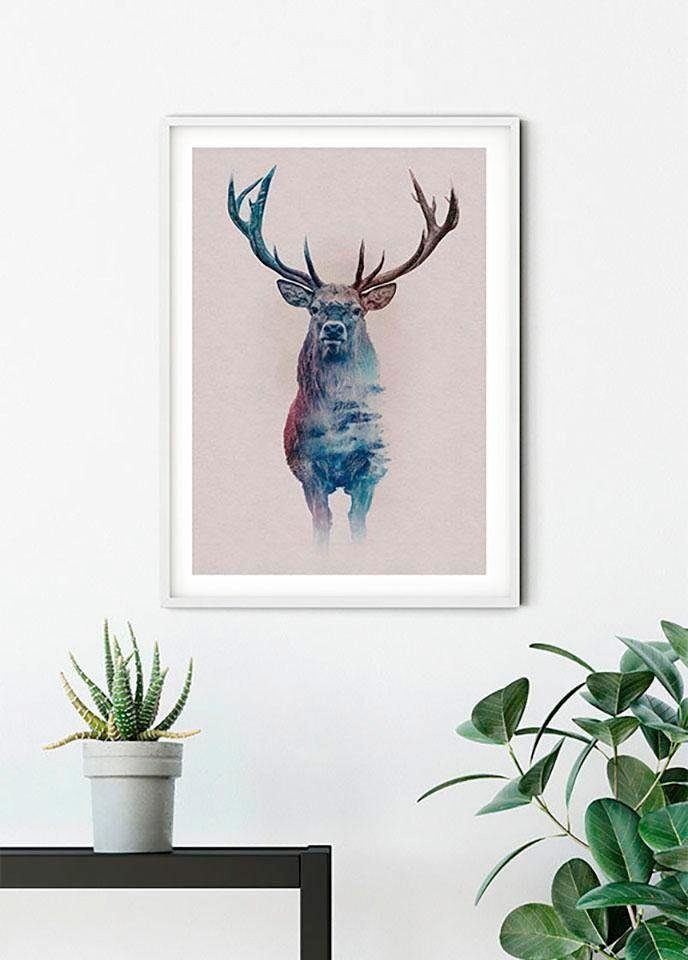 Komar Wanddecoratie Animals forest Deer Wanddecoratie - zonder lijst (1 stuk)