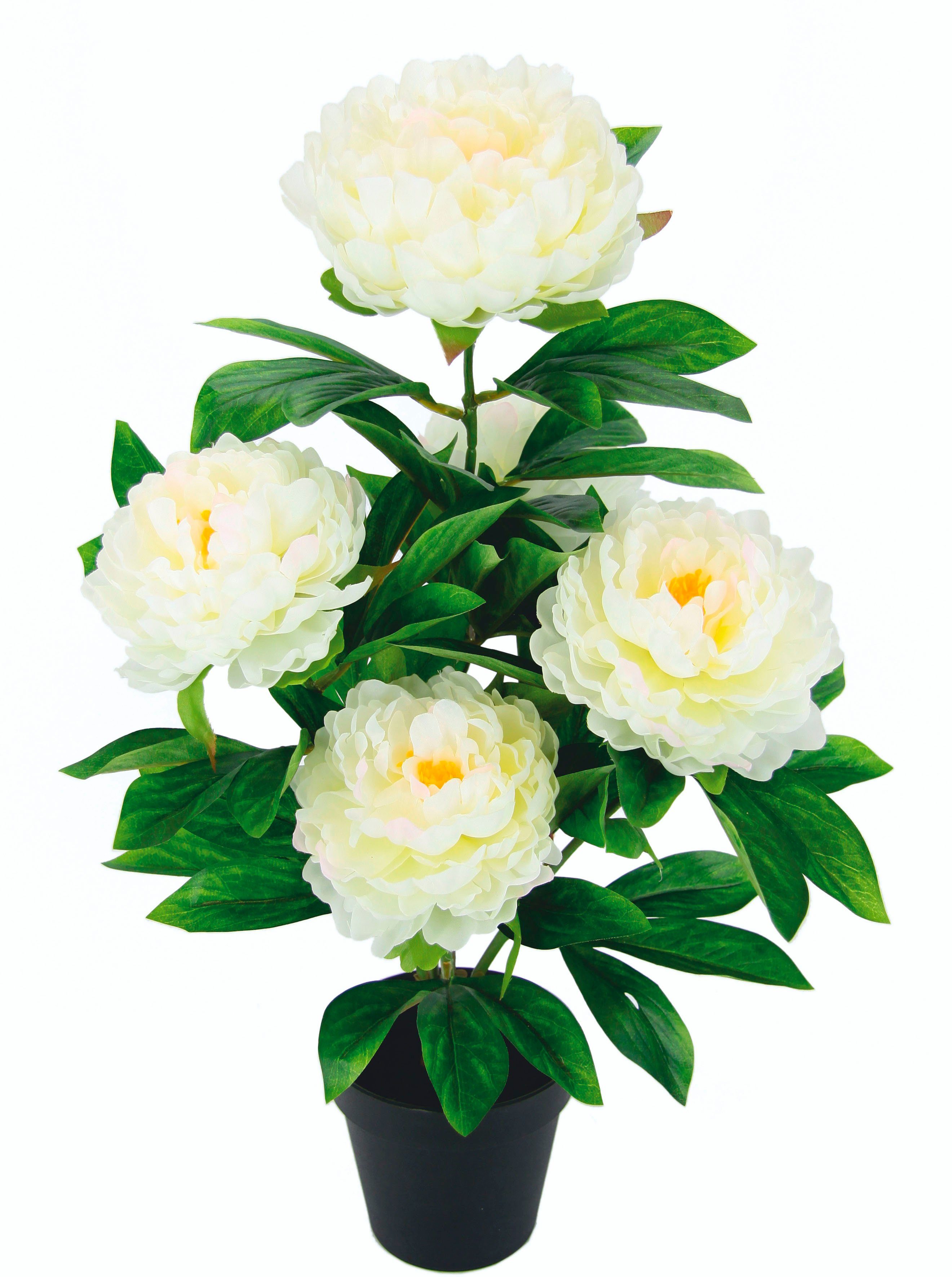 I.GE.A. Kunstbloem Pioenroos Zijdebloemen (1 stuk) kunstbloemen wit
