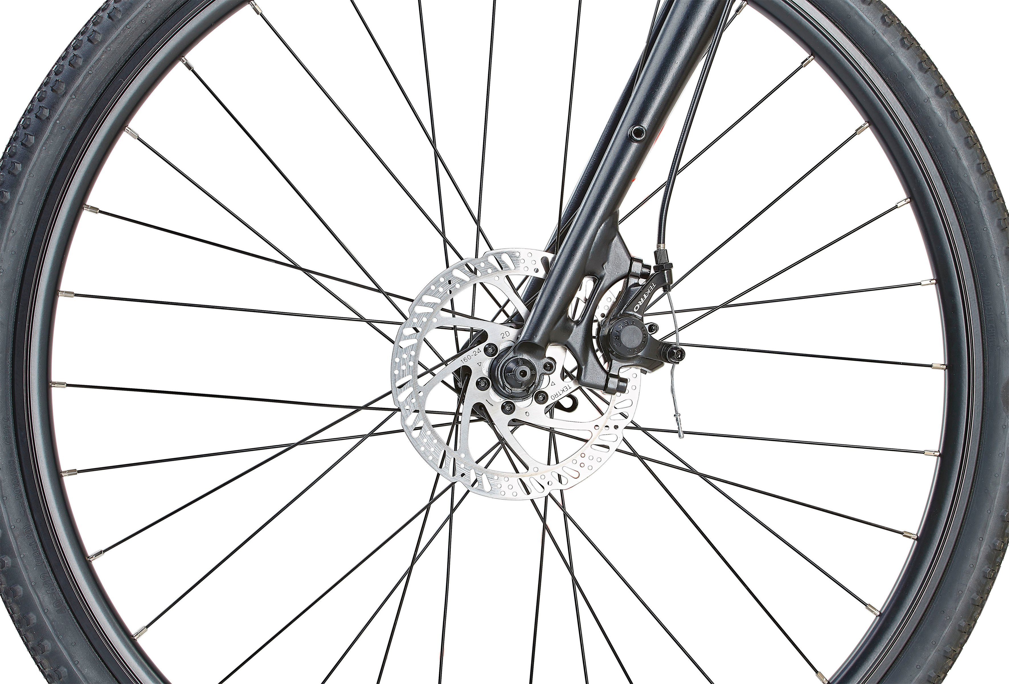 Prophete Gravelbike Graveler