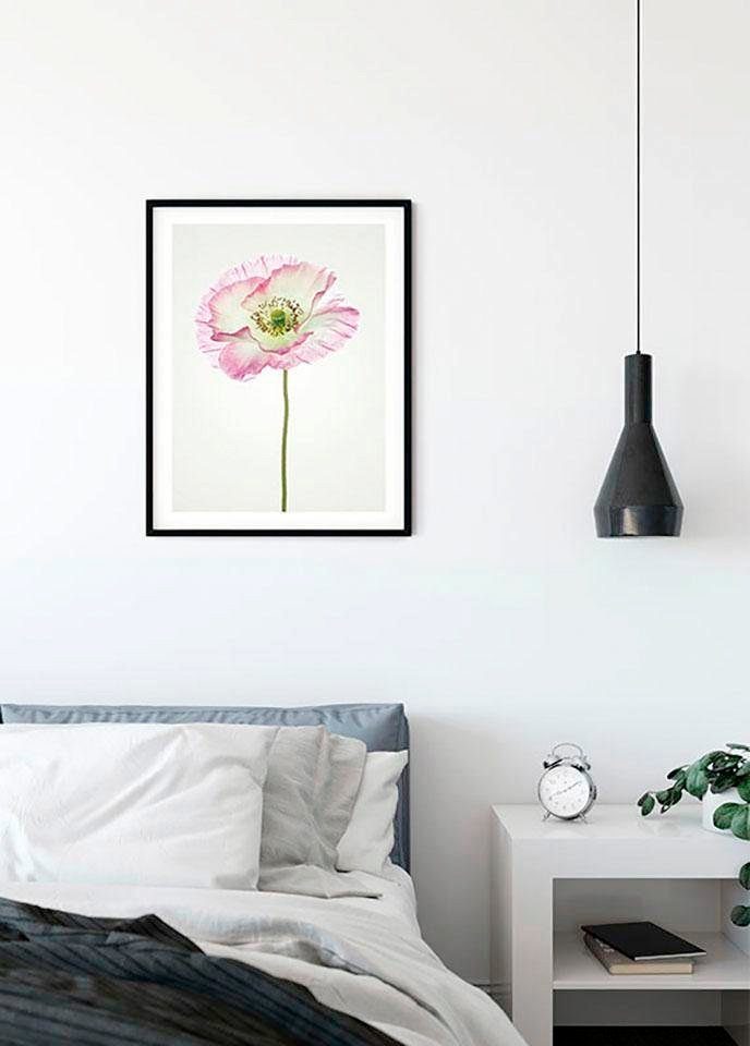 Komar Wanddecoratie Poppy Wanddecoratie - zonder lijst (1 stuk)