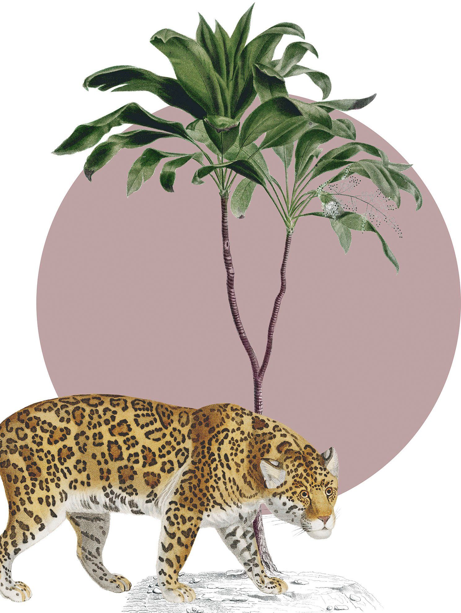 Komar Artprint Botanical Garden Jaguar Kinderkamer, slaapkamer, woonkamer (1 stuk)