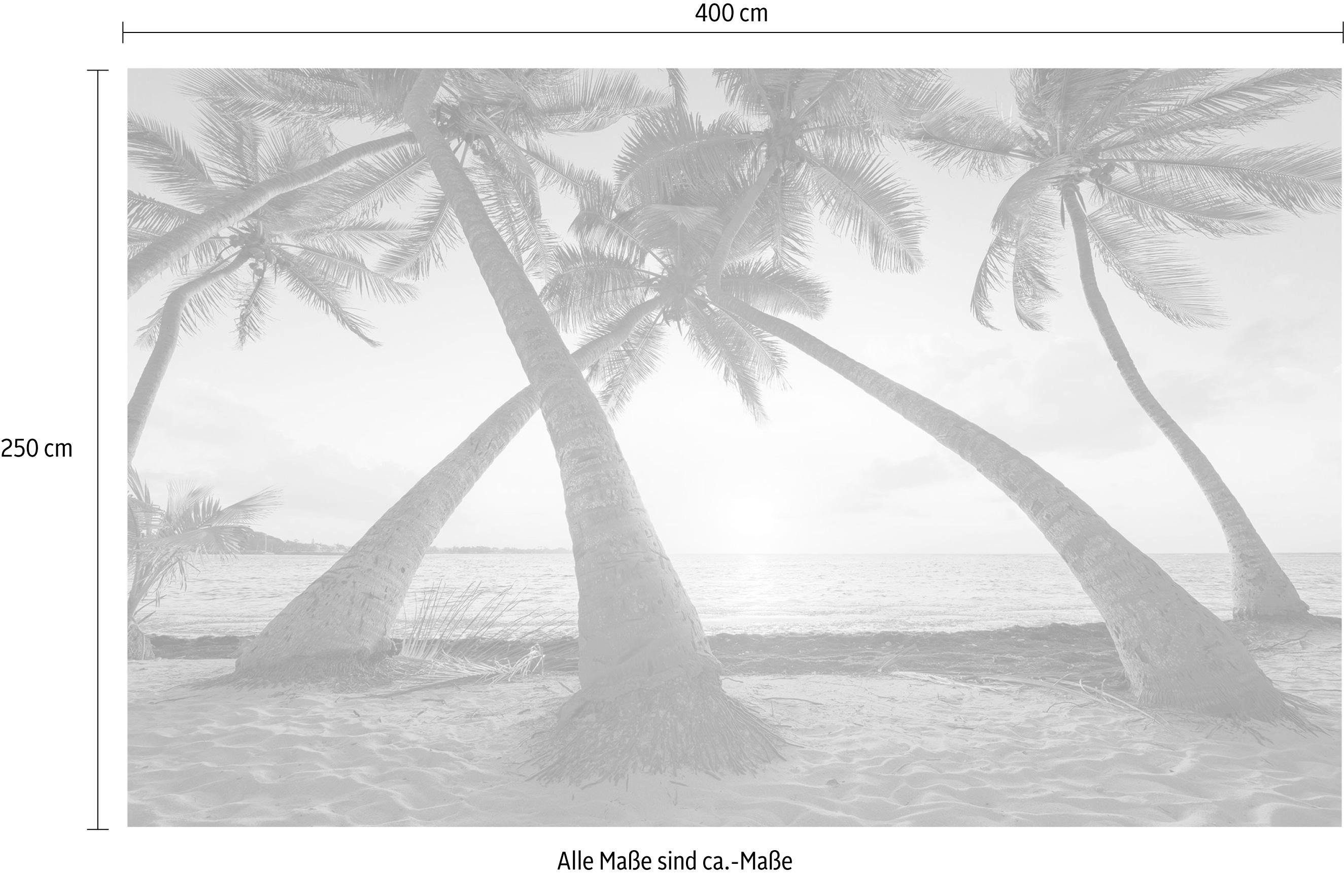 Komar Vliesbehang Digitale print vlies - Reaching the Sun - Afmeting 400 x 250 cm (1 stuk)