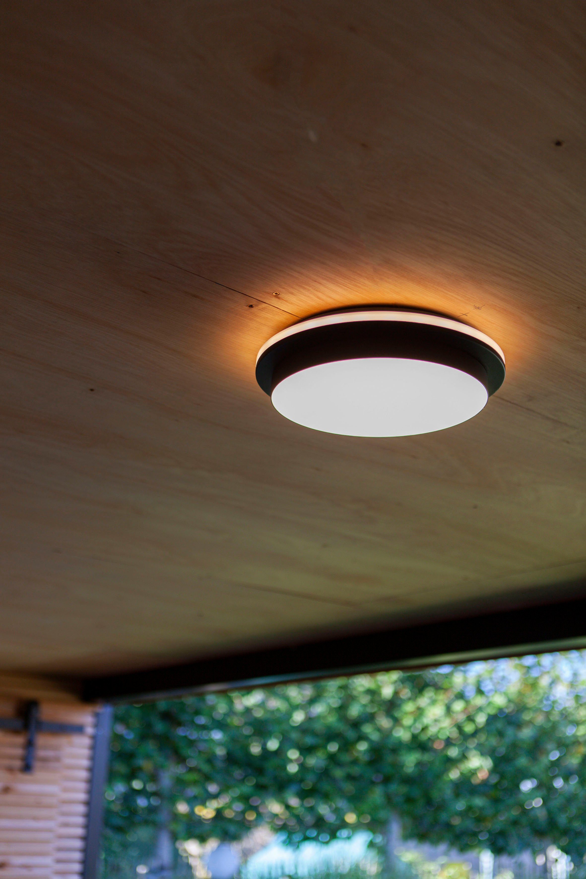LUTEC Ledplafondlamp voor buiten GOLETA (1 stuk)