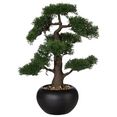 creativ green kunstplant bonsai groen