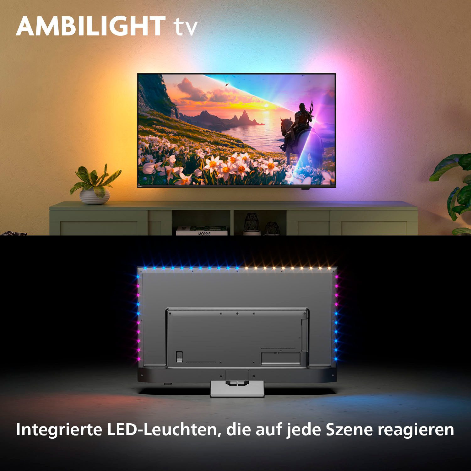 Philips QLED-TV 55PUS8600/12