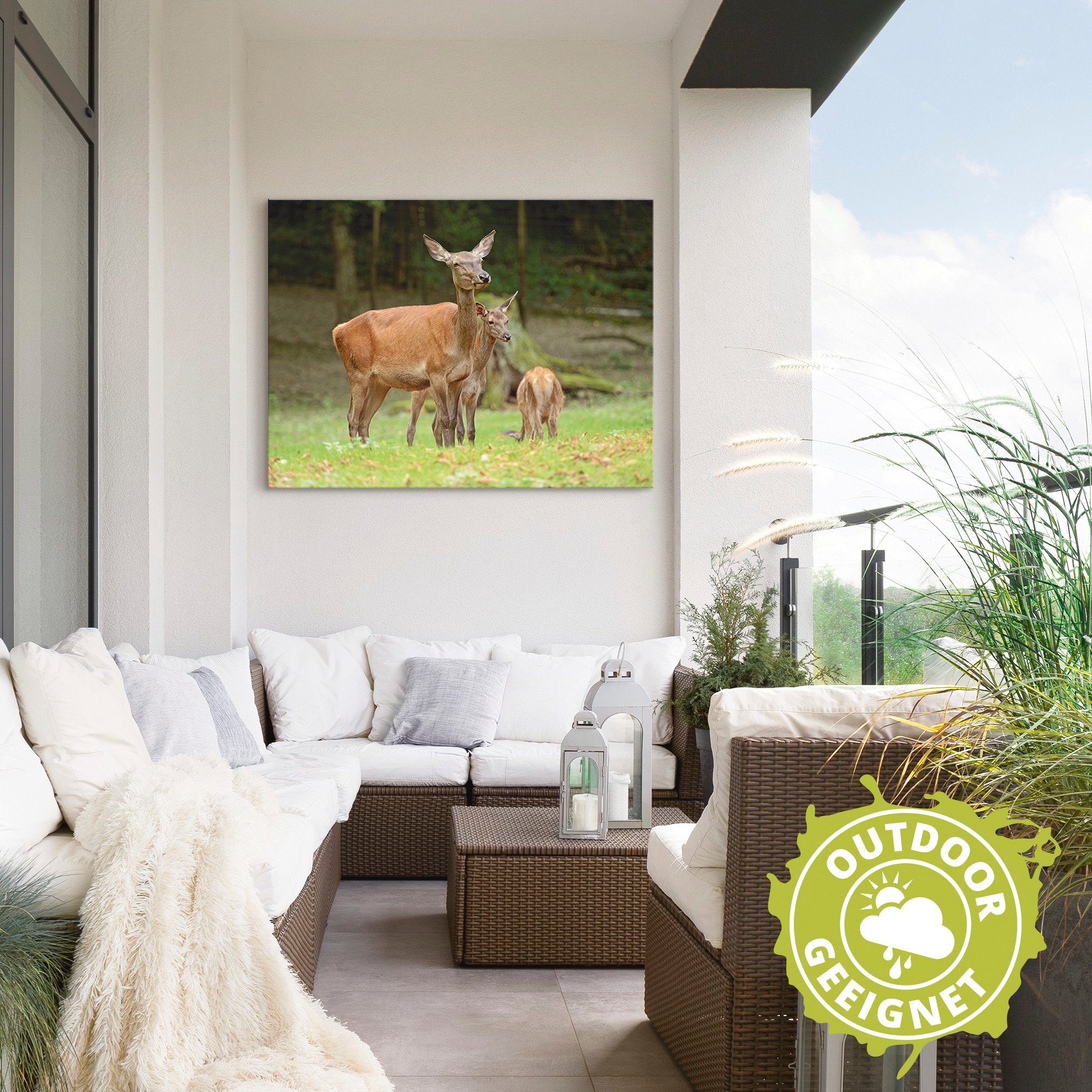 Artland Artprint Reeën als artprint van aluminium, artprint op linnen, muursticker of poster in verschillende maten