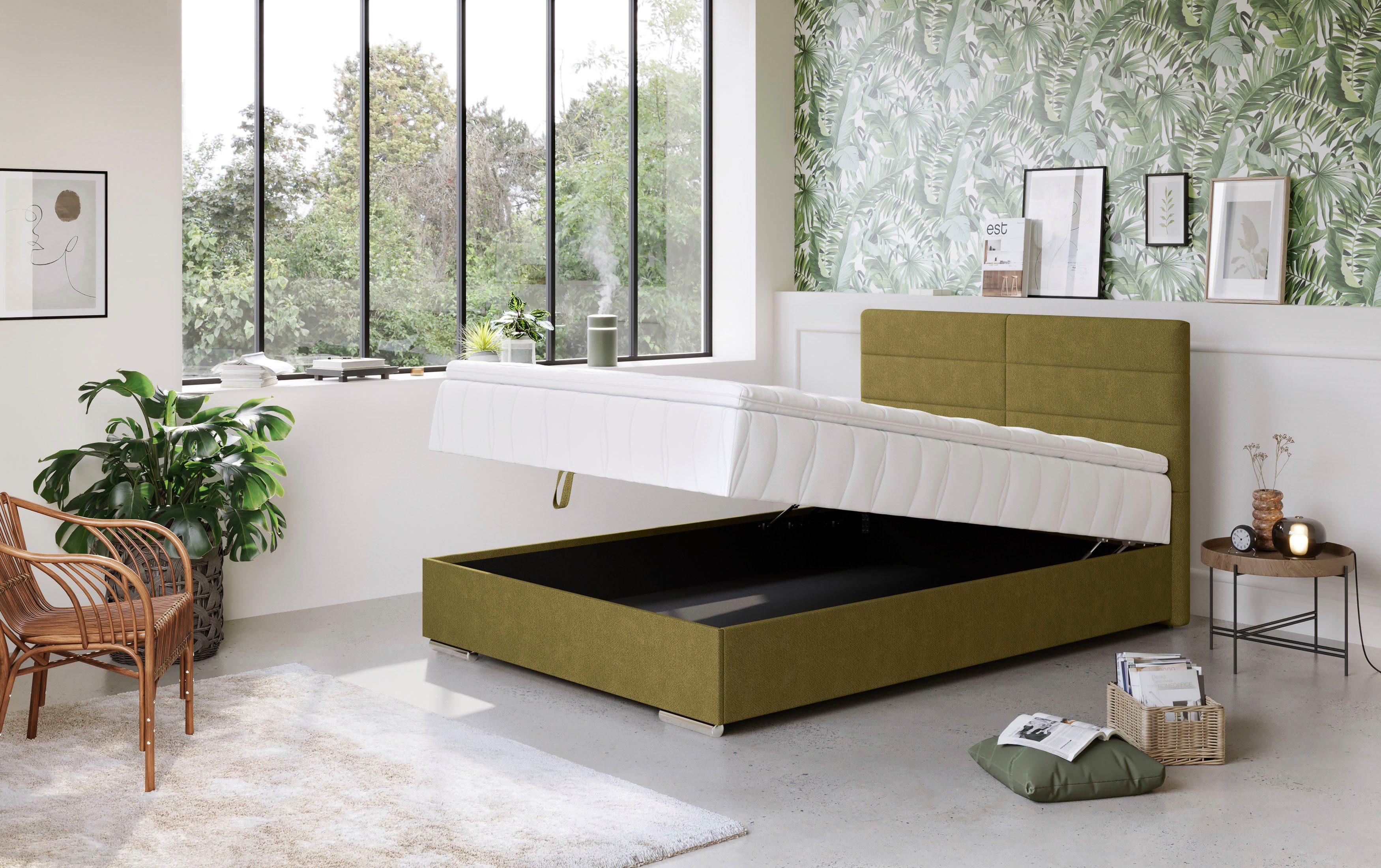 COTTA Boxspring Tom met bedkist, topmatras en sierkussen