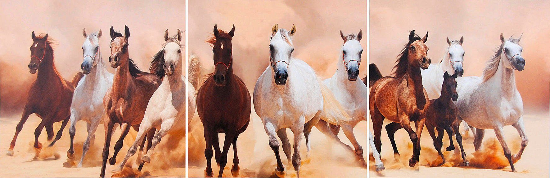 my home Artprint Paarden (set, 3 stuks)