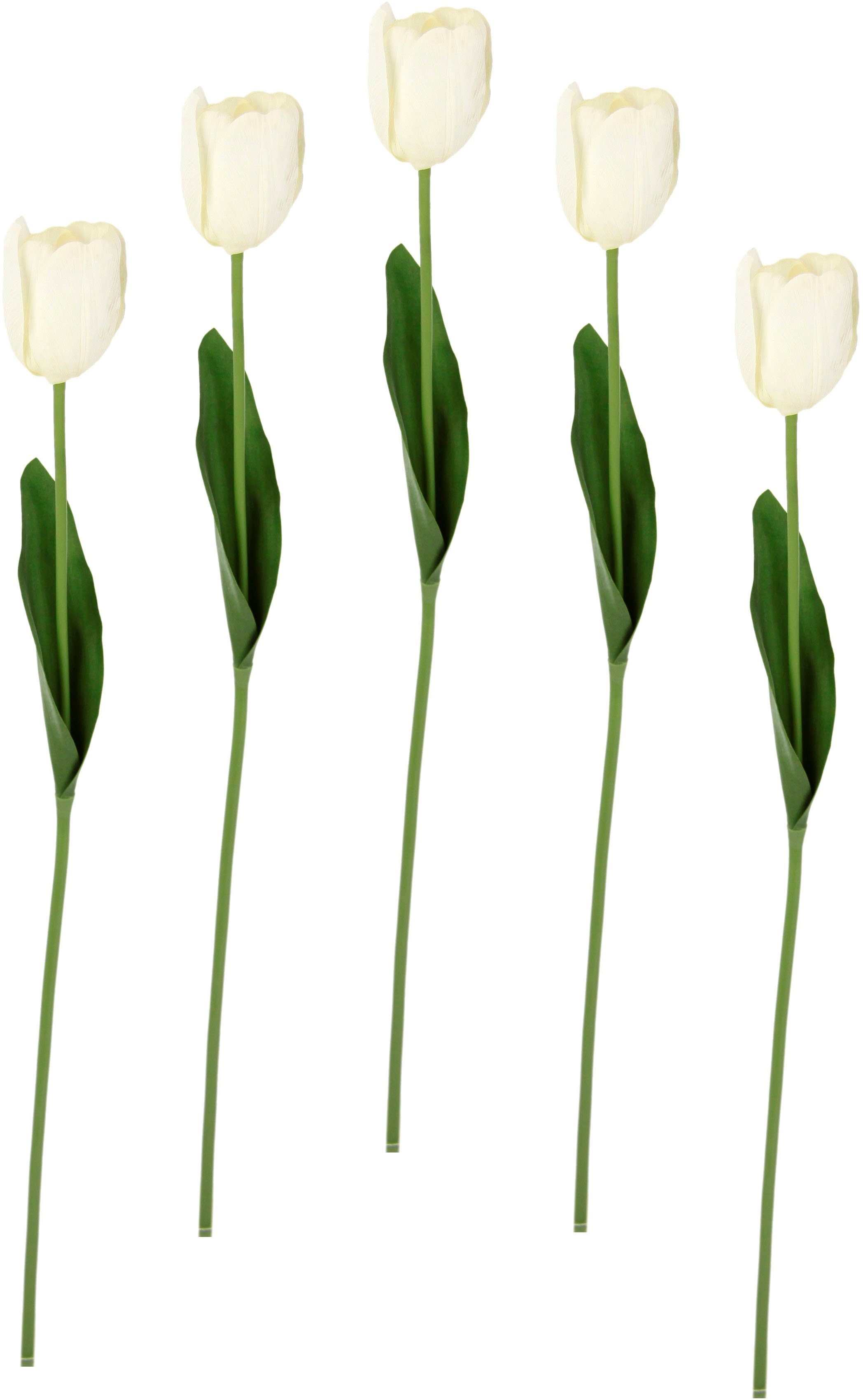 I.GE.A. Kunstbloem Real Touch Tulpen set van 5 kunst-tulpenknoppen kunstbloemen snijbloem (5 stuks)