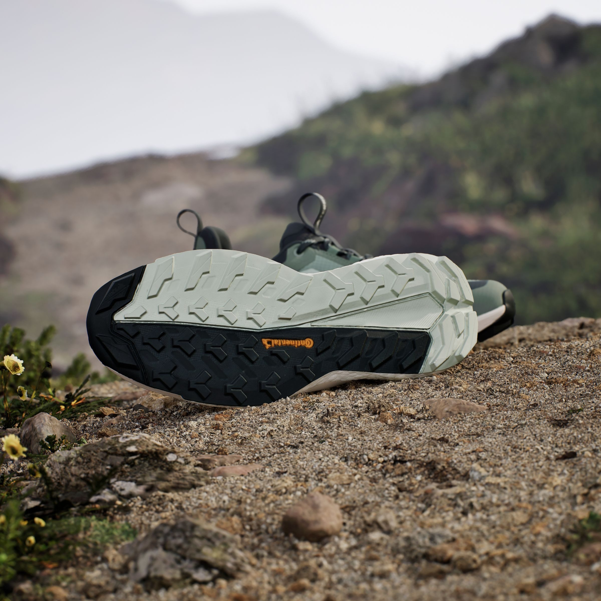 adidas TERREX Wandelschoenen TERREX FREE HIKER 2.0 LOW GORE-TEX