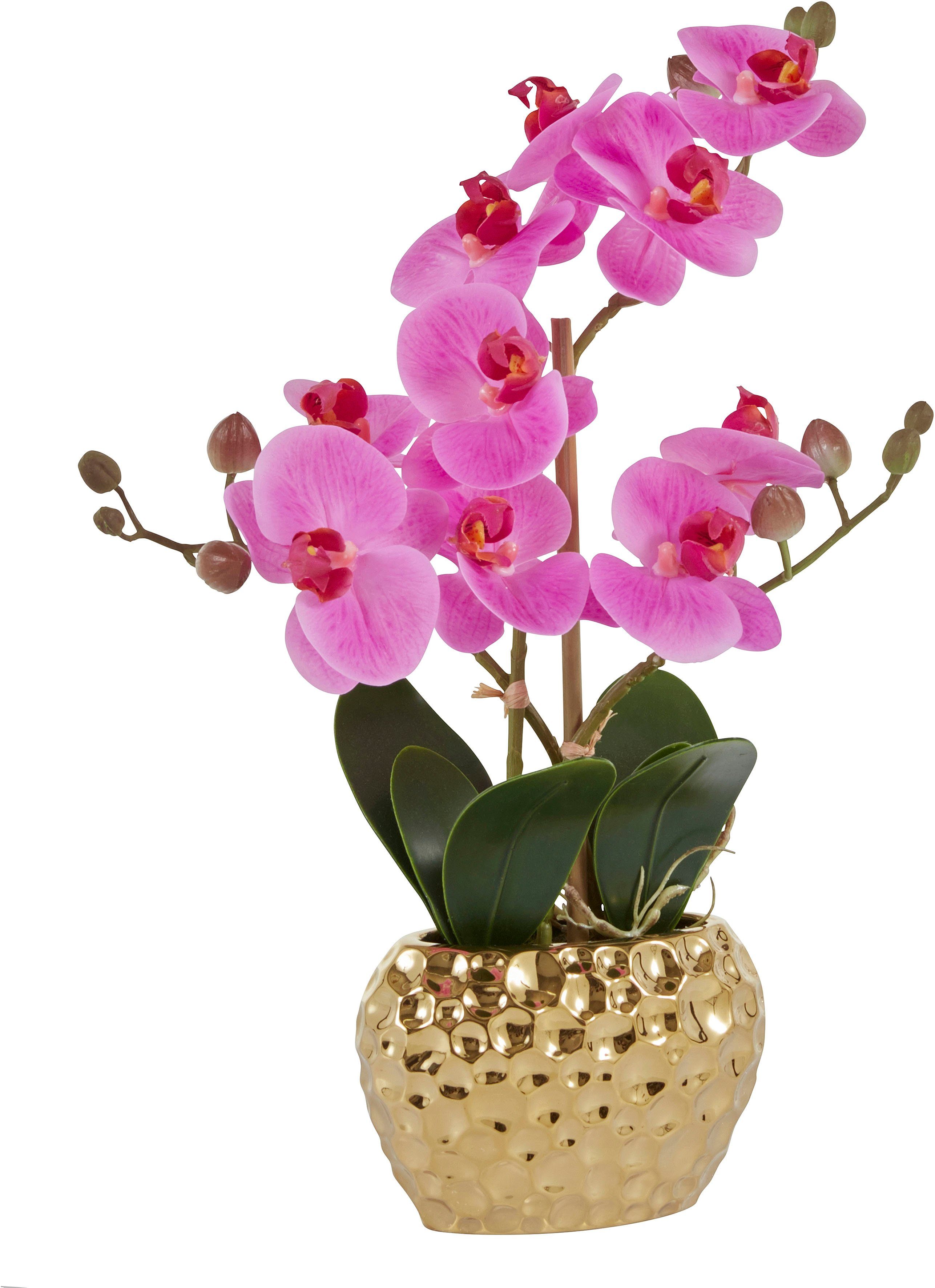 Leonique Kunstplant Orchidee Kunstorchidee, in een pot (1 stuk)