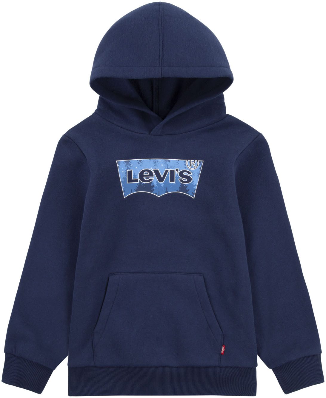 Levi's Kidswear Hoodie Batwing Hoodie