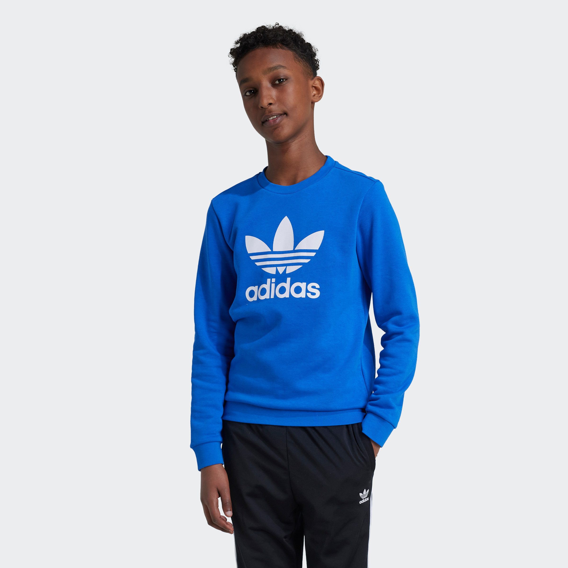 Adidas Originals Sweatshirt TREFOIL CREW