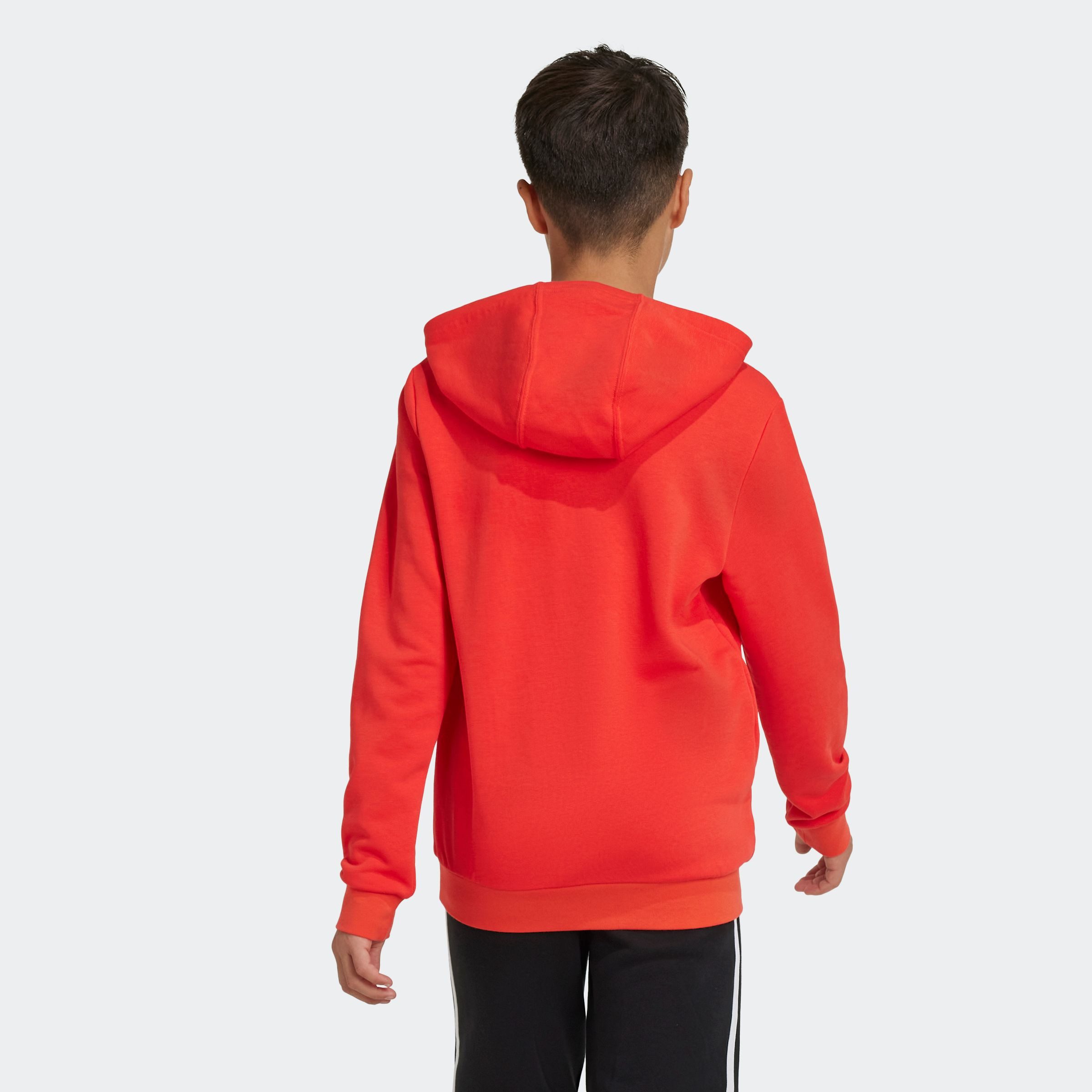 adidas Sportswear Hoodie BIG LOGO ESSENTIALS COTTON HOODIE
