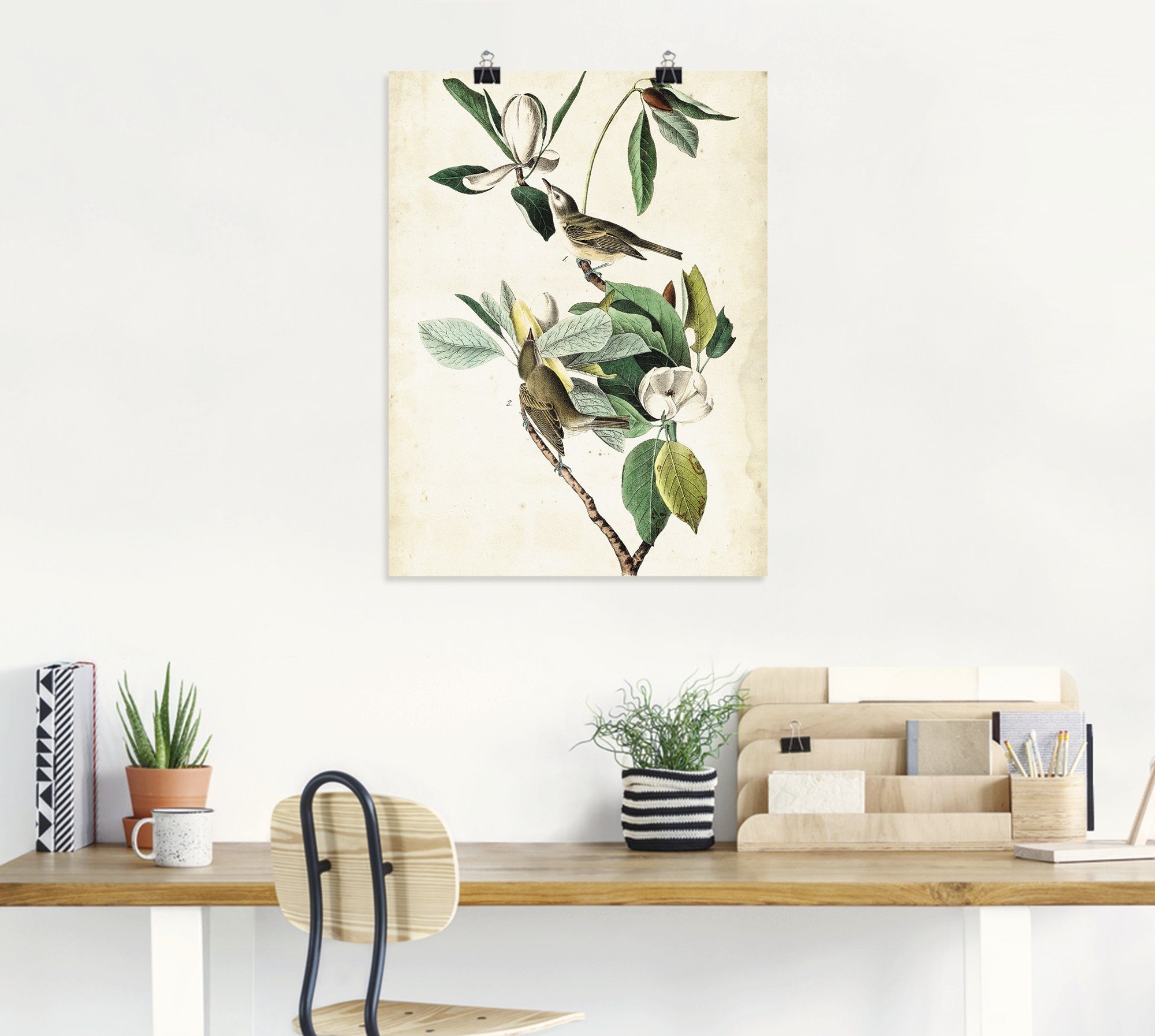 Artland Poster Sängervireo als artprint van aluminium, artprint op linnen, muursticker of poster in verschillende maten