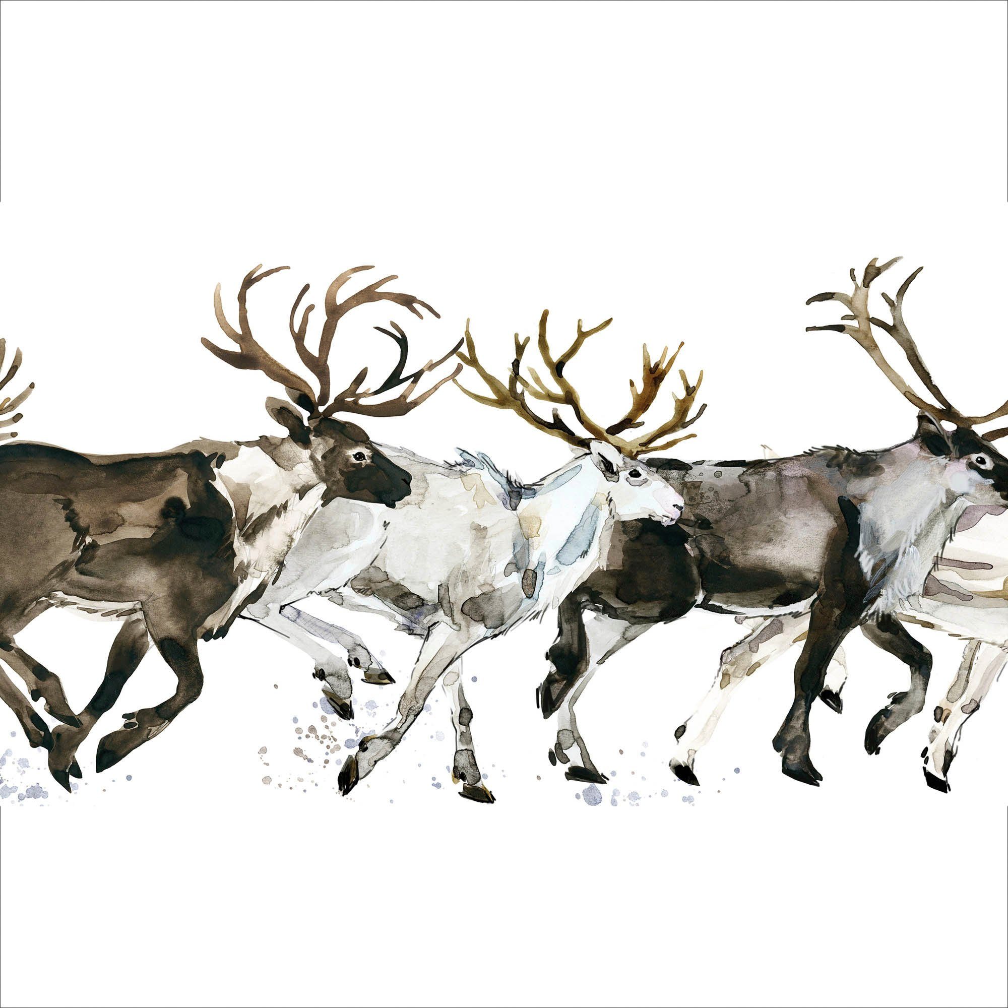 queence Sierkussen Enzo Kussenhoes, herten, elanden, witte achtergrond, kerst, feestelijk (1 stuk)