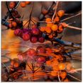 artland print op glas rode bessen - wilde bessen (1 stuk) oranje