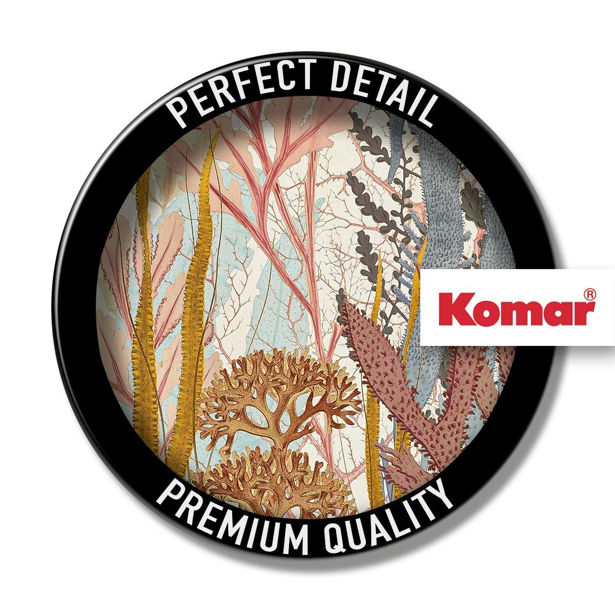 Komar Artprint op linnen Koraal Aqua - Afmeting 30 x 40 cm (1 stuk)