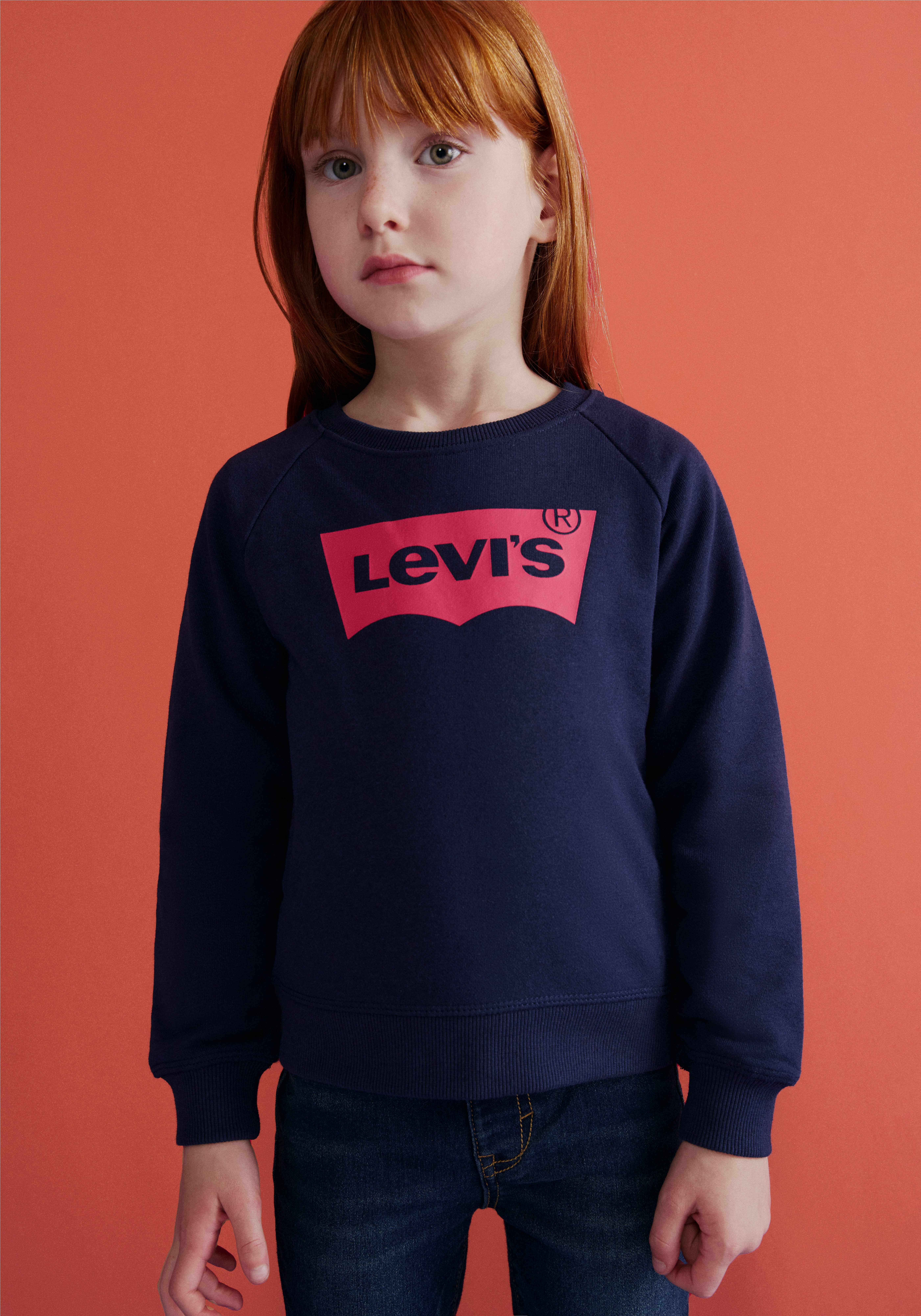 Levi's Kidswear Sweatshirt BATWING CREWNECK SWEATSHIRT