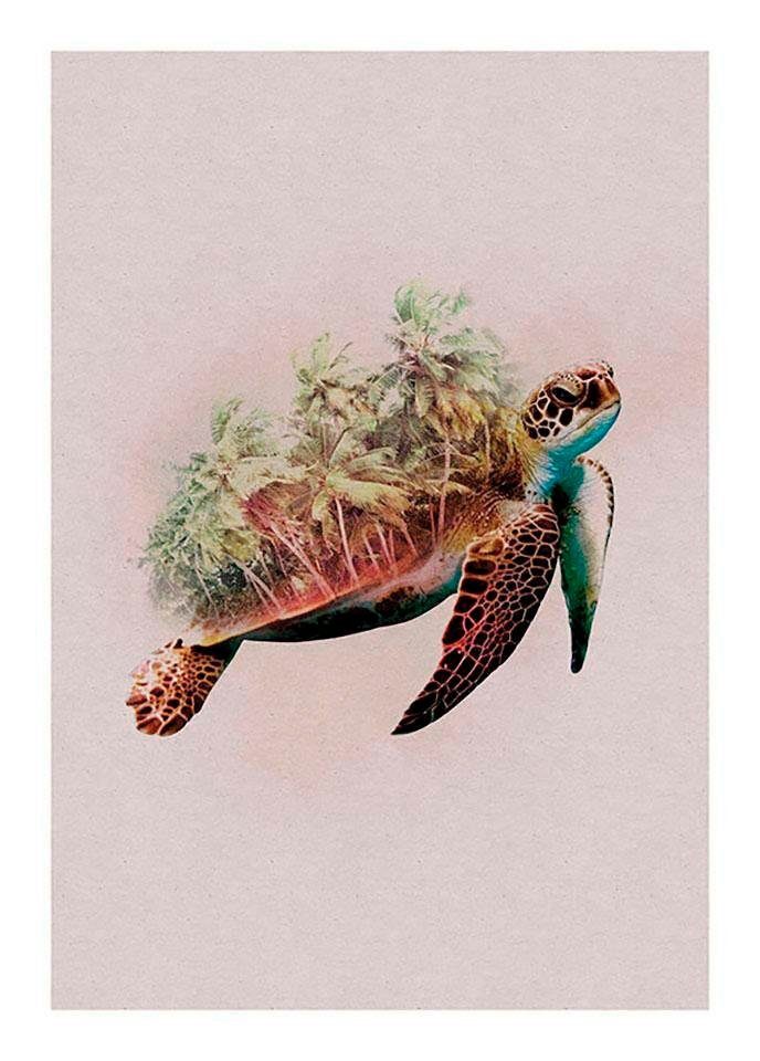 Komar Wanddecoratie Animals Paradise Turtle Wanddecoratie - zonder lijst (1 stuk)