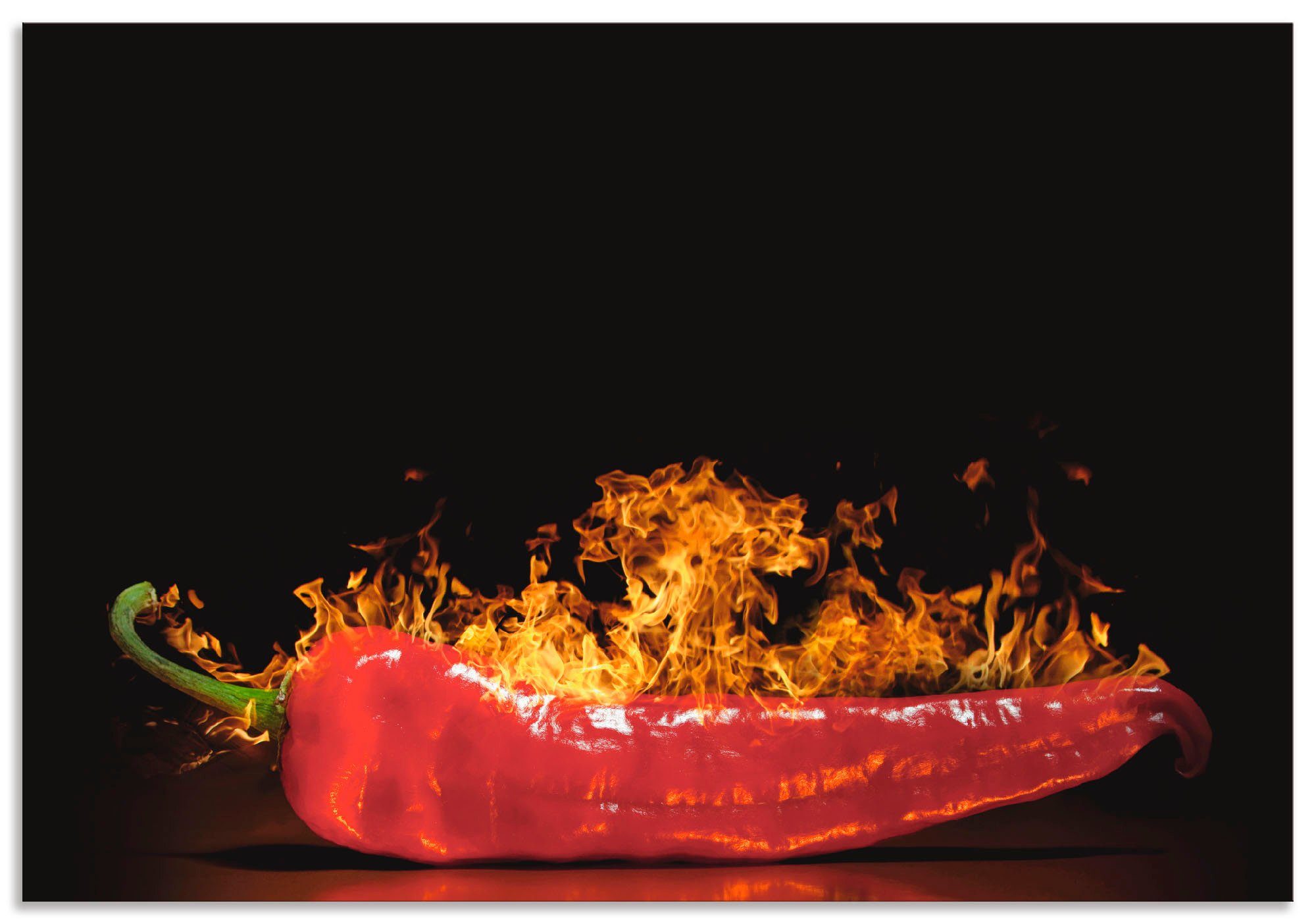 Artland Keukenwand Rode hete chilipeper zelfklevend in vele maten - spatscherm keuken achter kookplaat en spoelbak als wandbescherming tegen vet, water en vuil - achterwand, wandbe