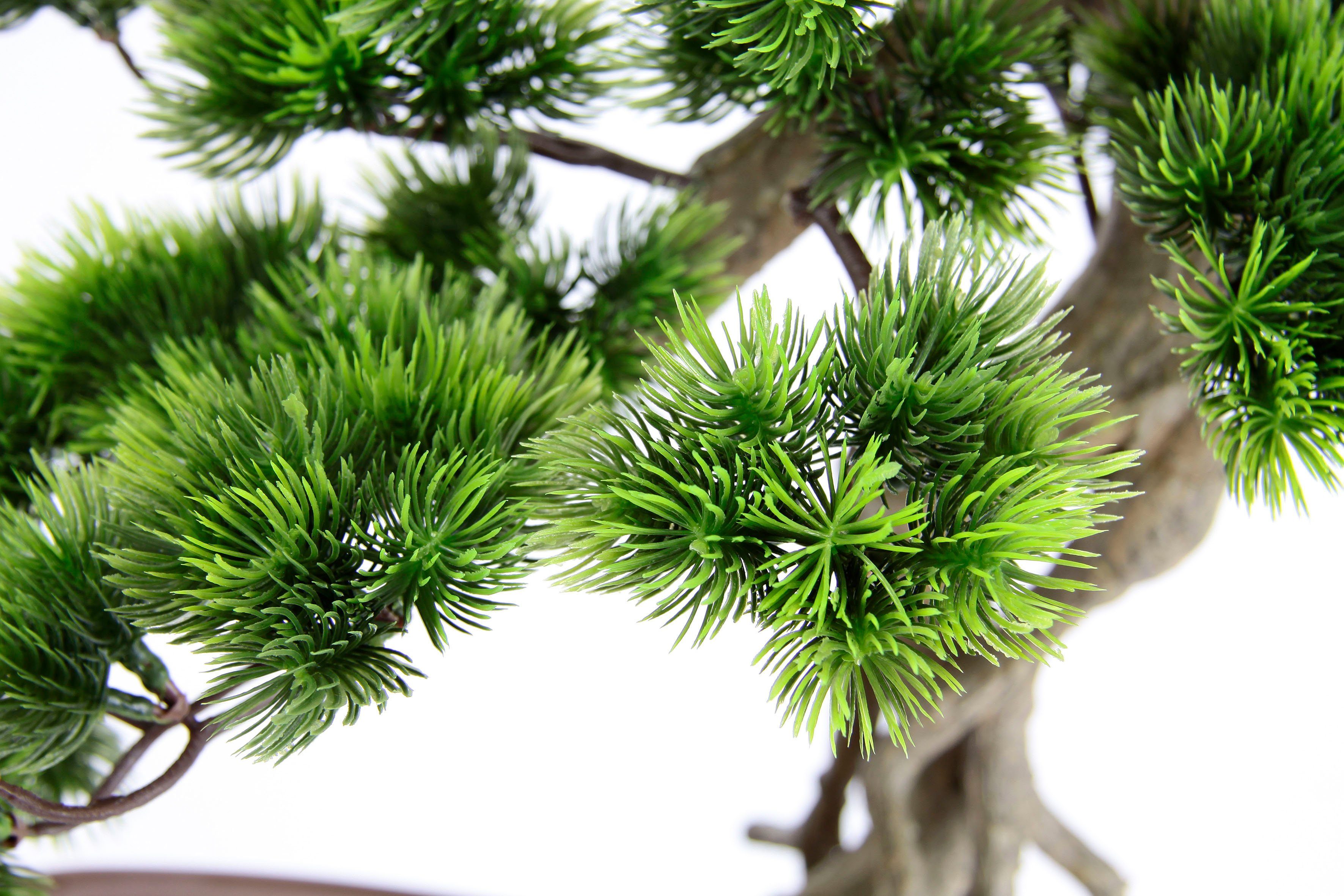 I.GE.A. Kunstplant Bonsai boom in schaal Exotische bomen, Zen-tuin (1 stuk)