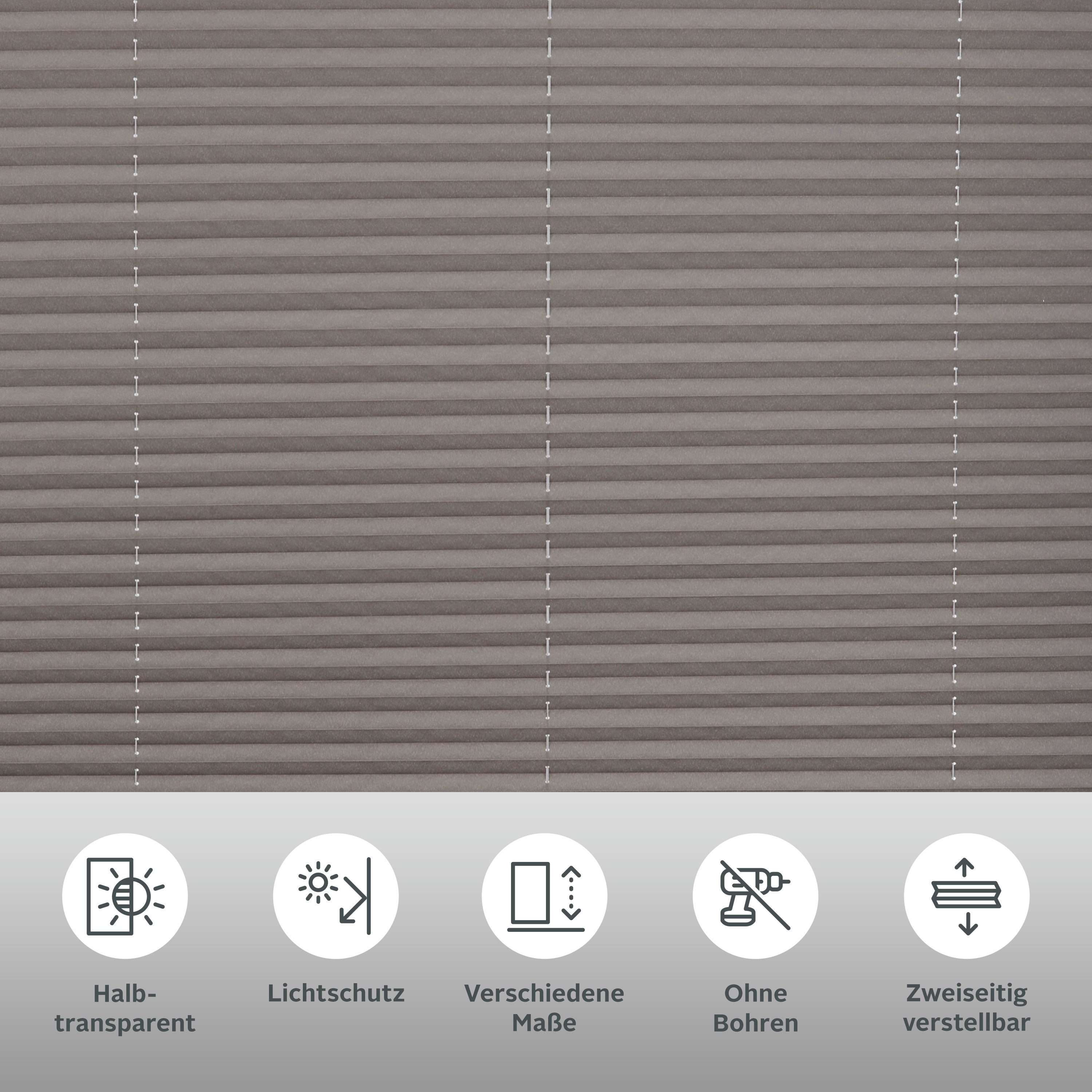 my home Plissé LAHOLM Standaardmaat, bestseller met ruim 3000 4,5-sterren-beoordelingen, klemsteun (1 stuk)