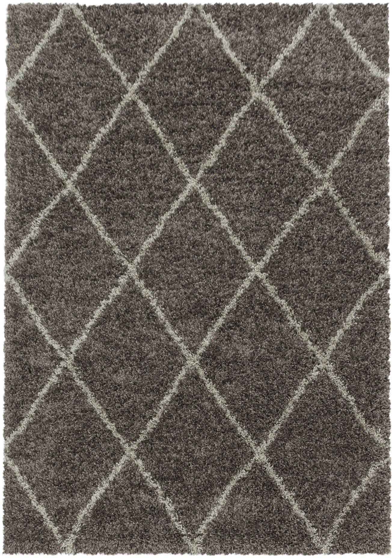 Ayyildiz Teppiche Hoogpolig vloerkleed ALVOR 3401