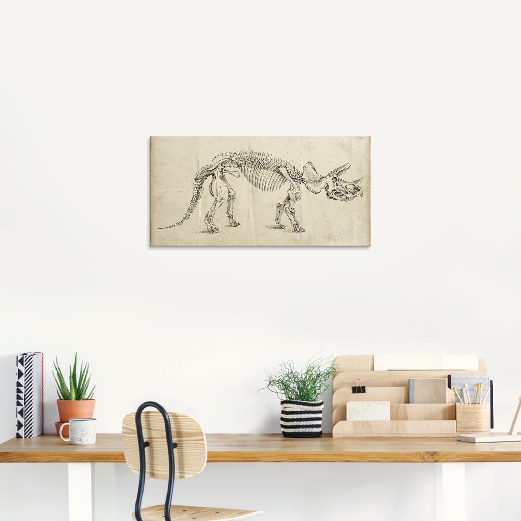 Artland Print op glas Dinosauria leer II in verschillende maten