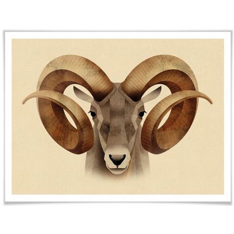 Wall-Art poster Urial