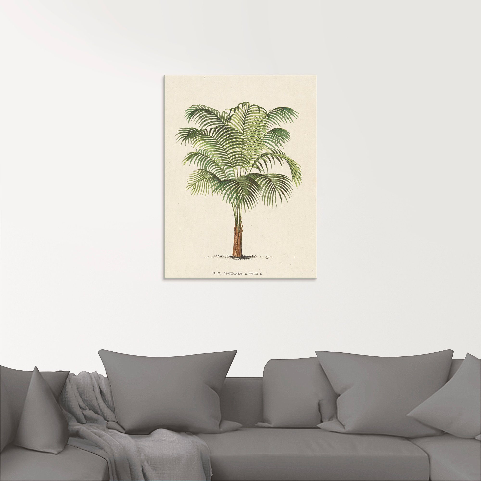 Artland Print op glas Palm II in verschillende maten